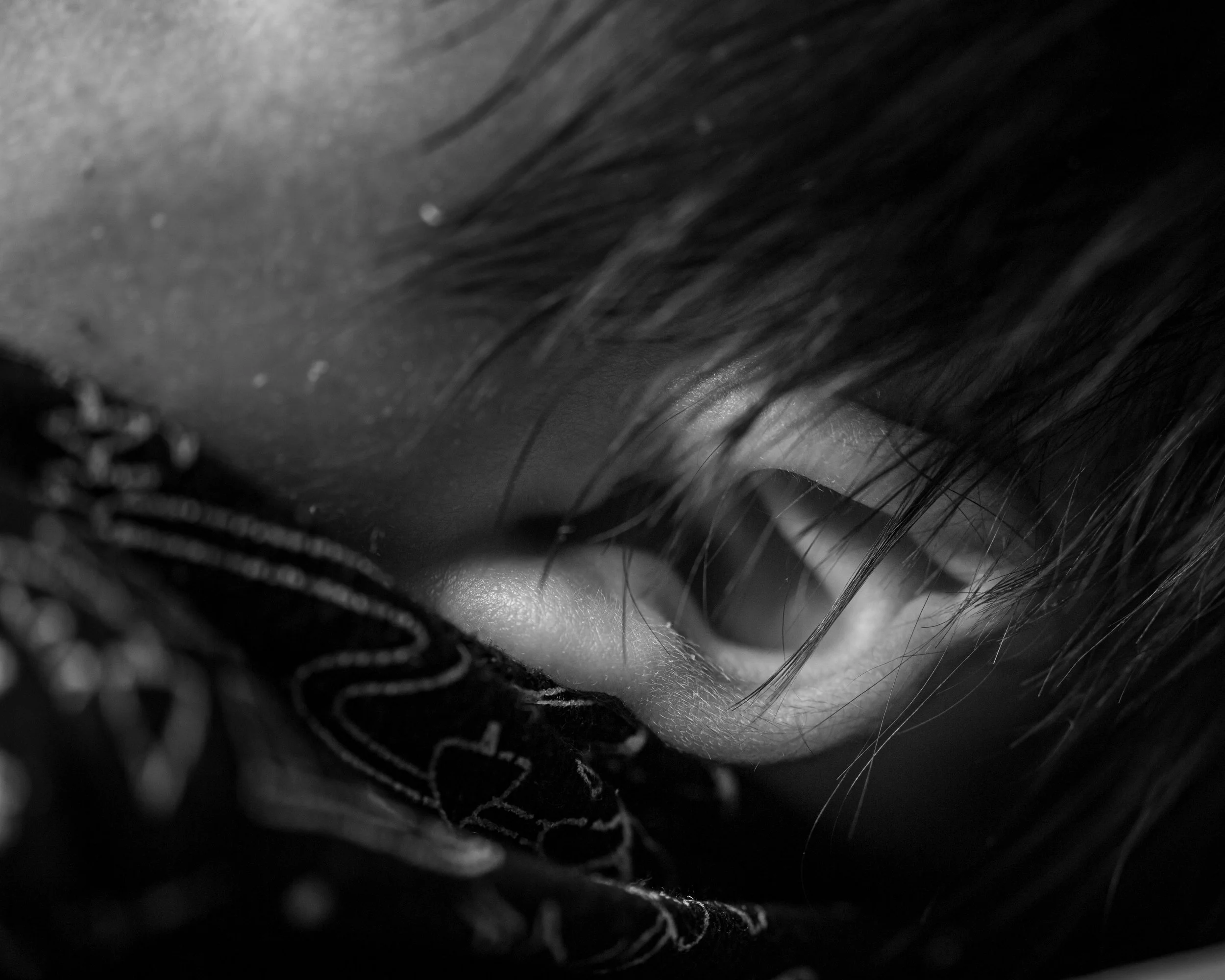 D5X_0741.jpg