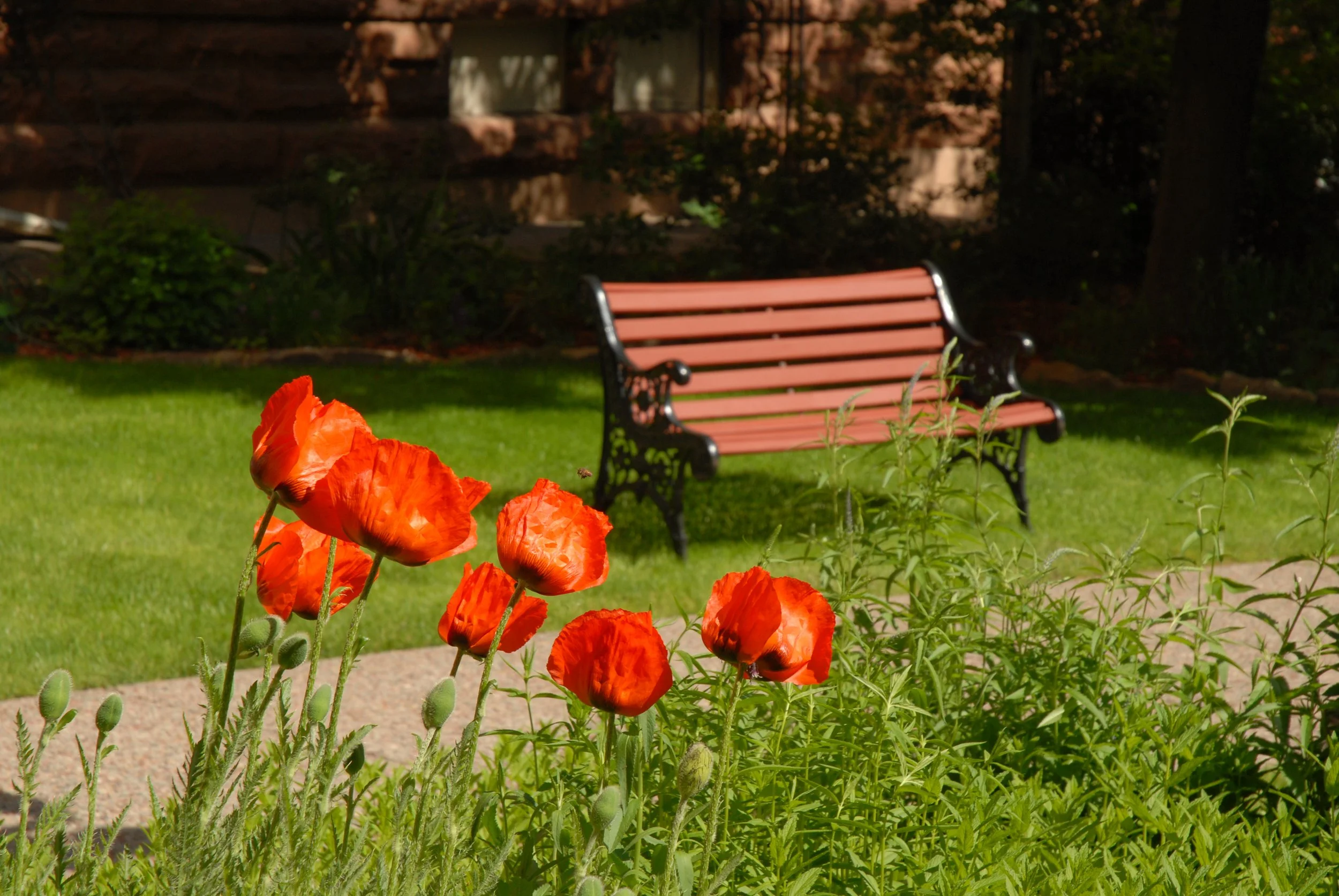 HPX_8953.jpg