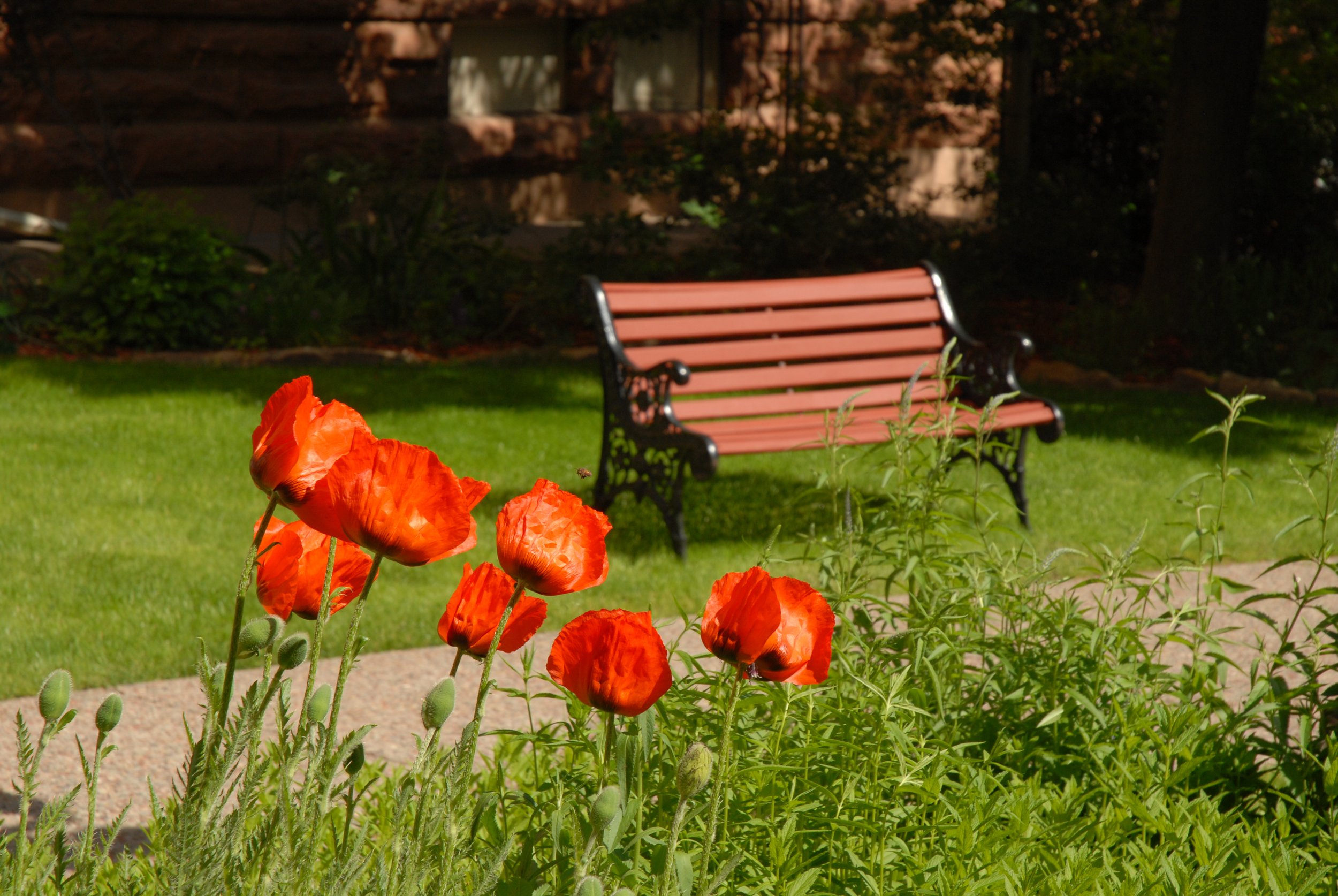 HPX_8953.jpg