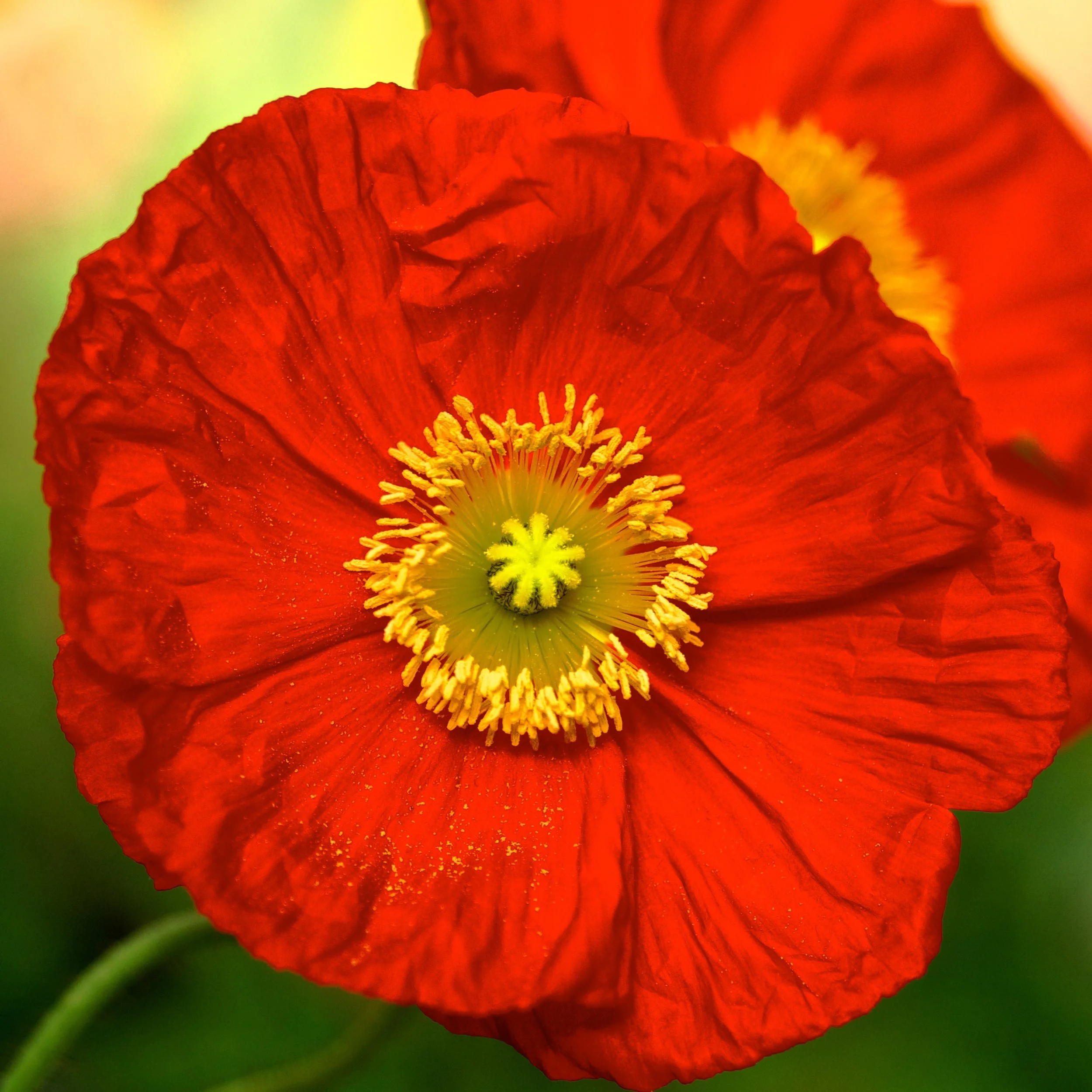 D2X_3911.jpg