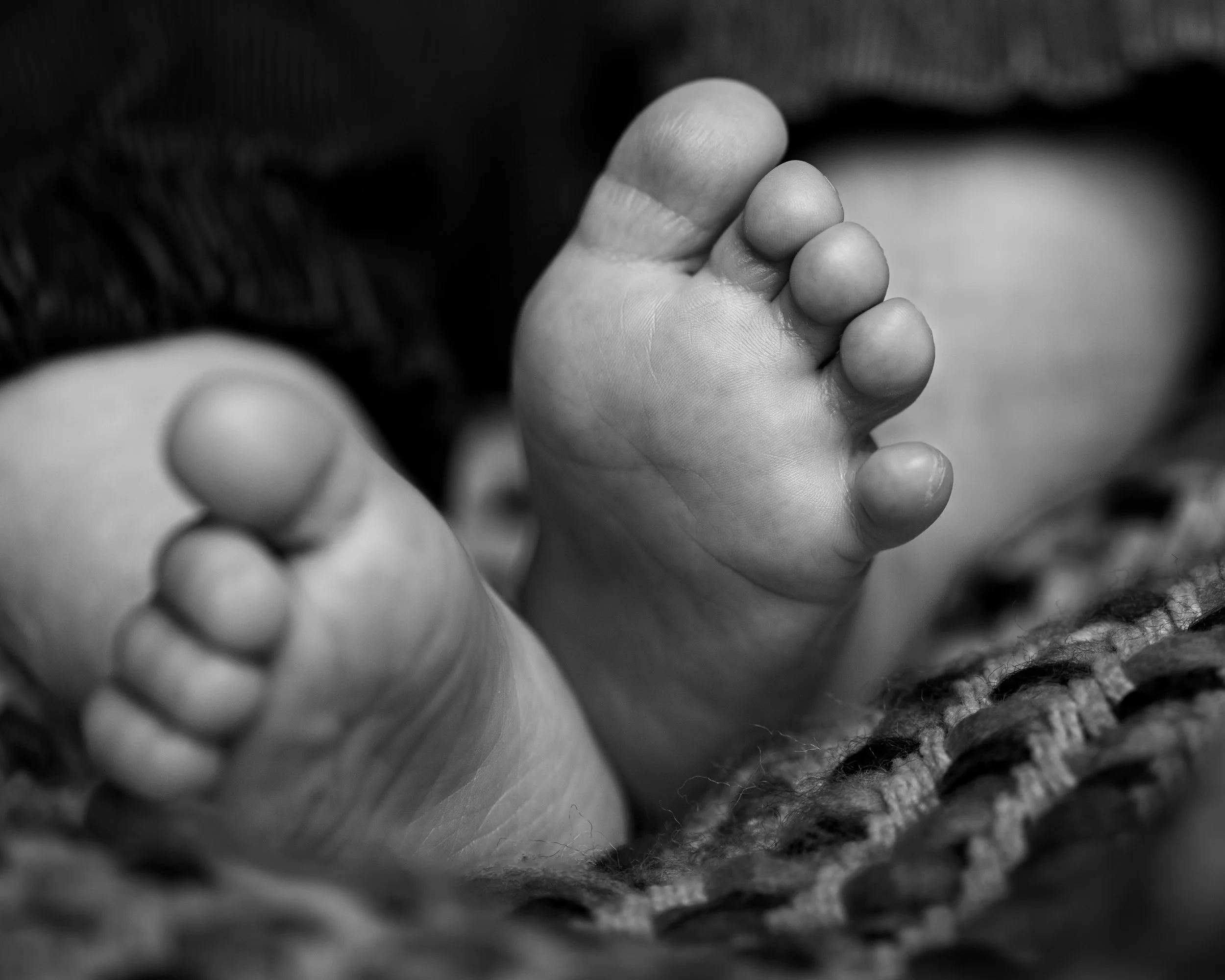 D5X_0751.jpg