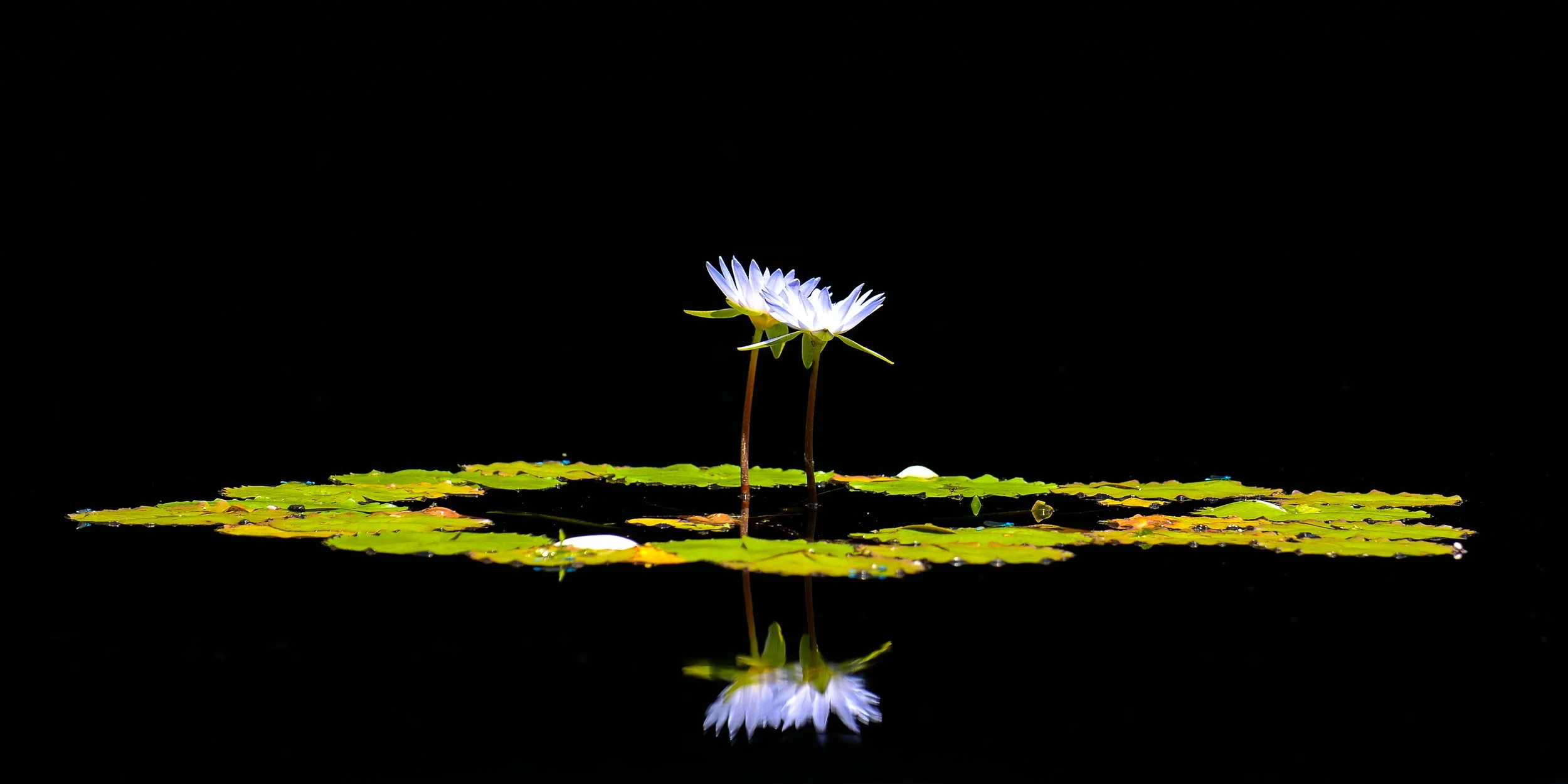 _MGL3662-Edit.jpg