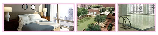 spaCommunityStrip.jpg