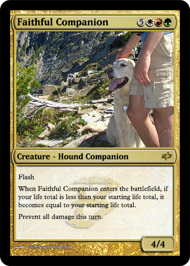 Faithful Companion.png