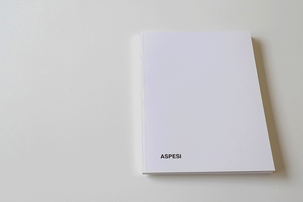 DIRKVANDOOREN_ASPESICAMPAIGNS_LOOKBOOKS_COLLECTIONS_GIF