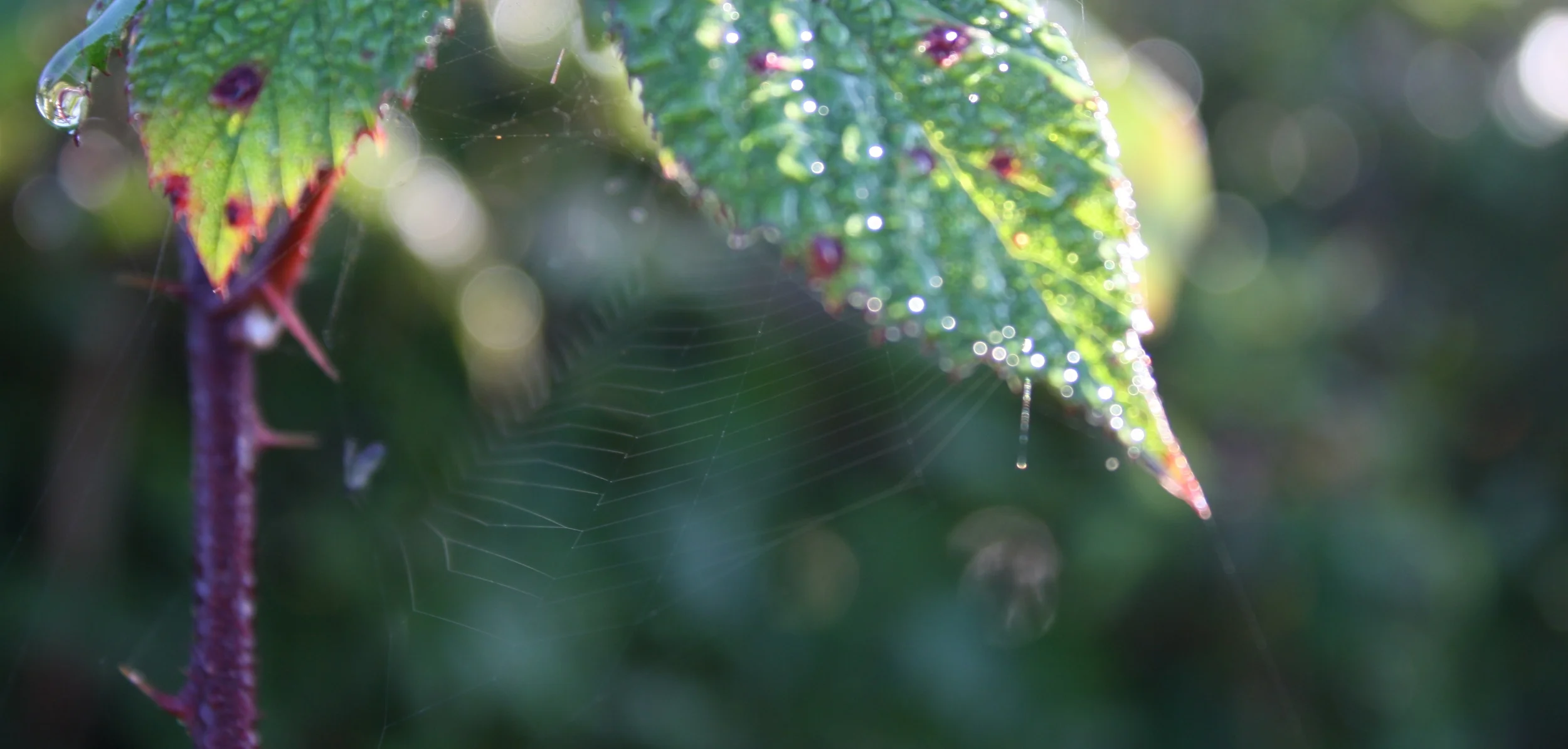 IMG_2972 - Version 2.JPG