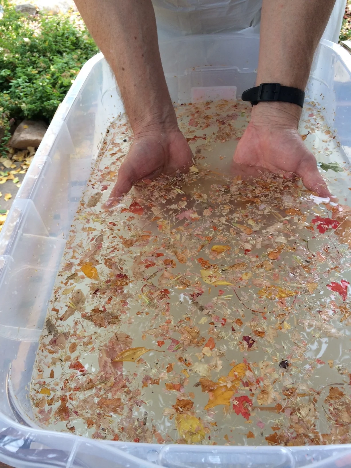 Conversational Retreats: Wisdom Pool No 2