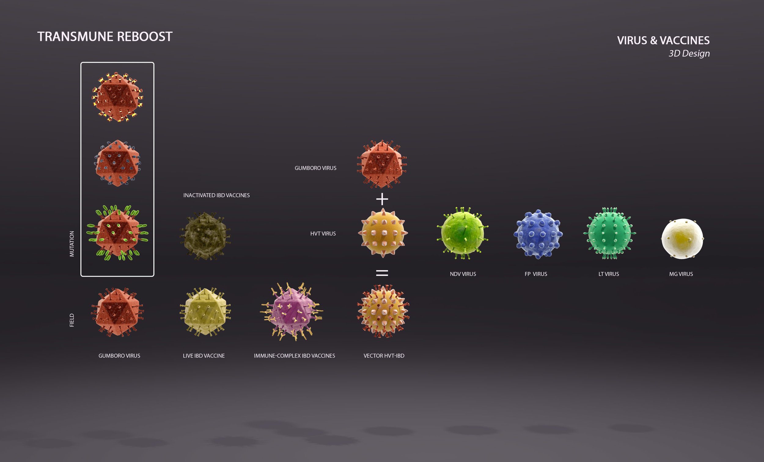 Virus et vaccins (Copy)