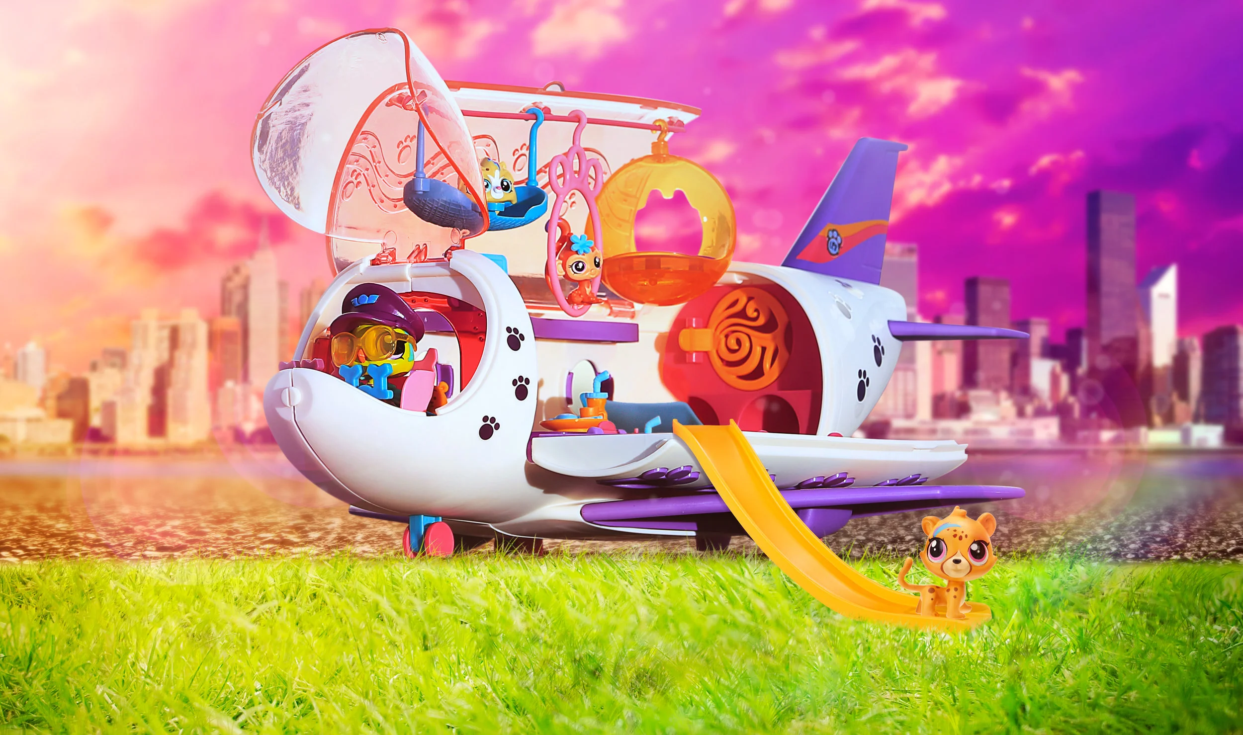 LPS_Plane.jpg