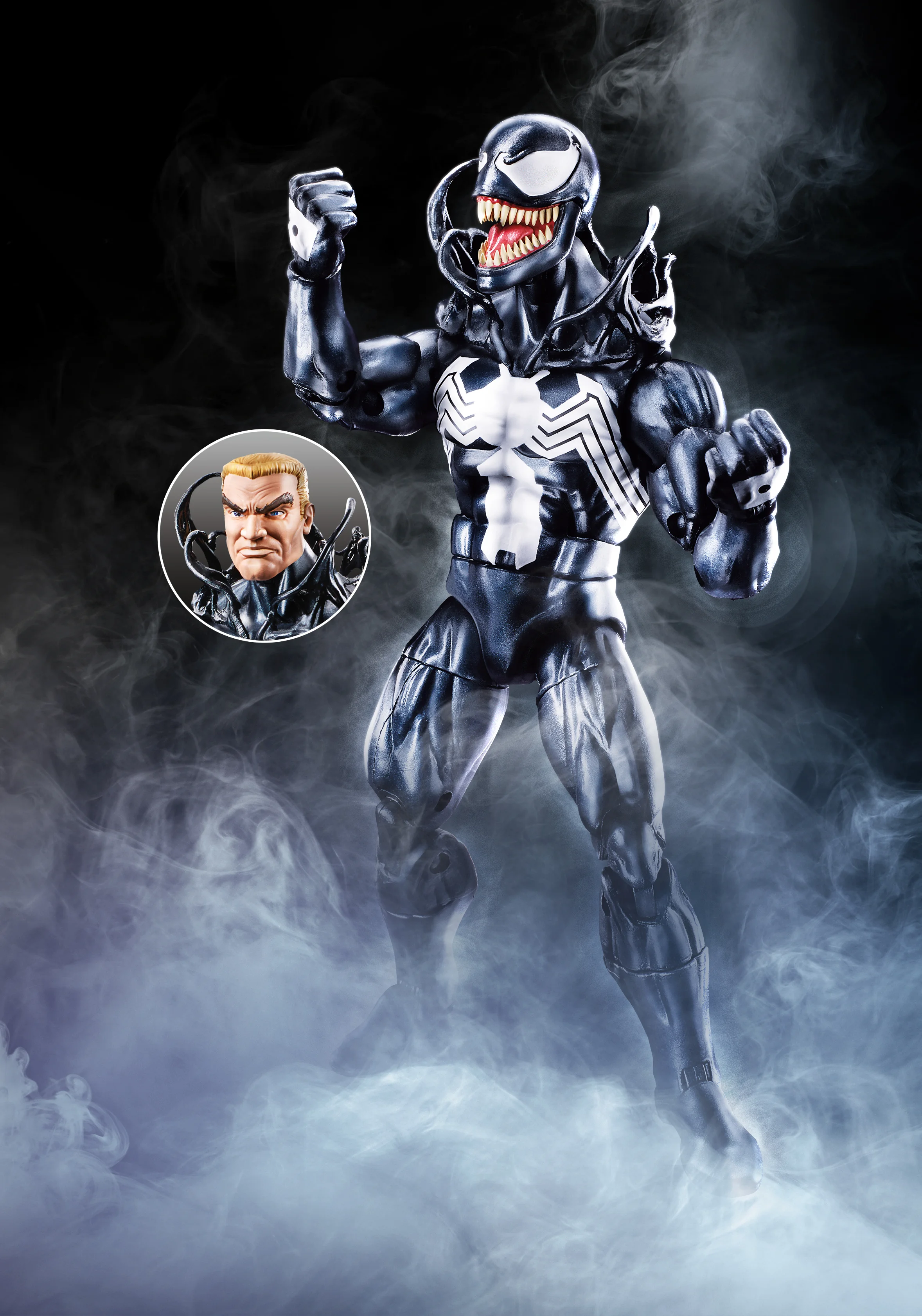 E2942AS00_358460_MVL_6_INCH_LEGENDS_VENOM_PKG_BACK_R1.jpg