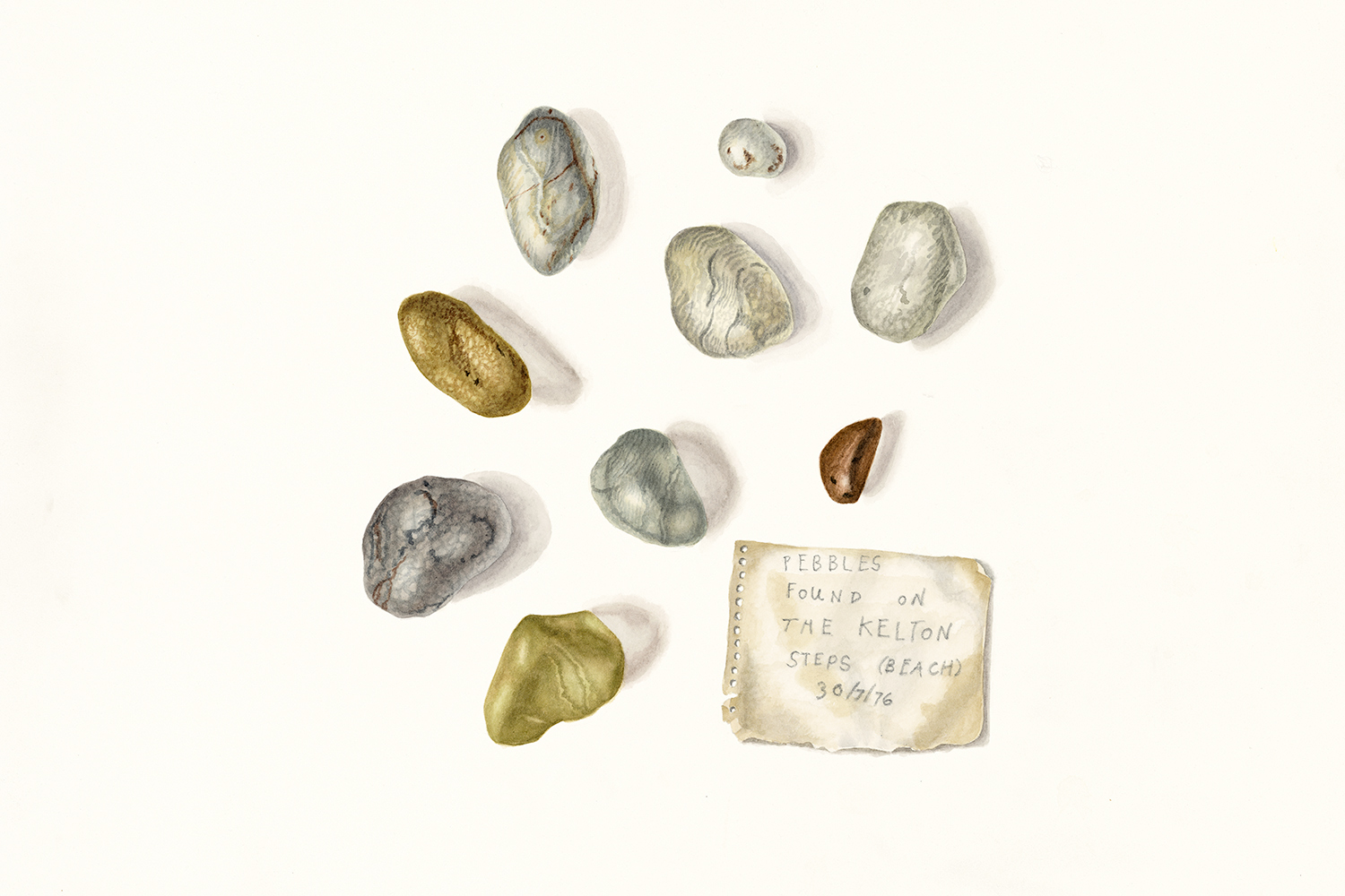 Polishing Stones found in the Big Water of Fleet 29.7.76 (collection of Duncan Matthews), 2010, watercolour on paper