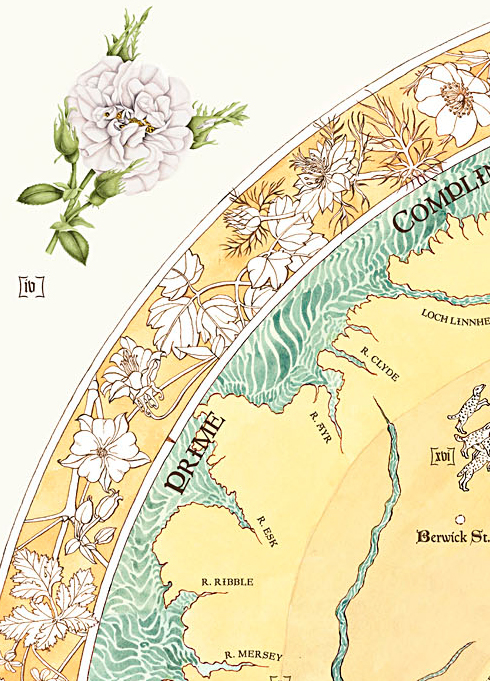 Mappa Mottisfont (detail),  2014, digital print
