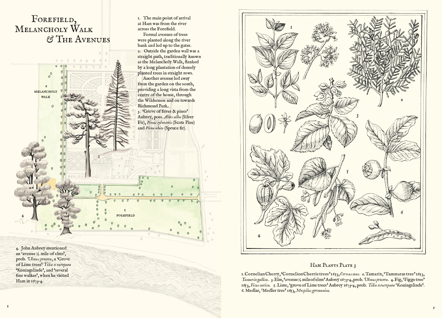 The Gardens at Ham House (detail), 2012, artist's book