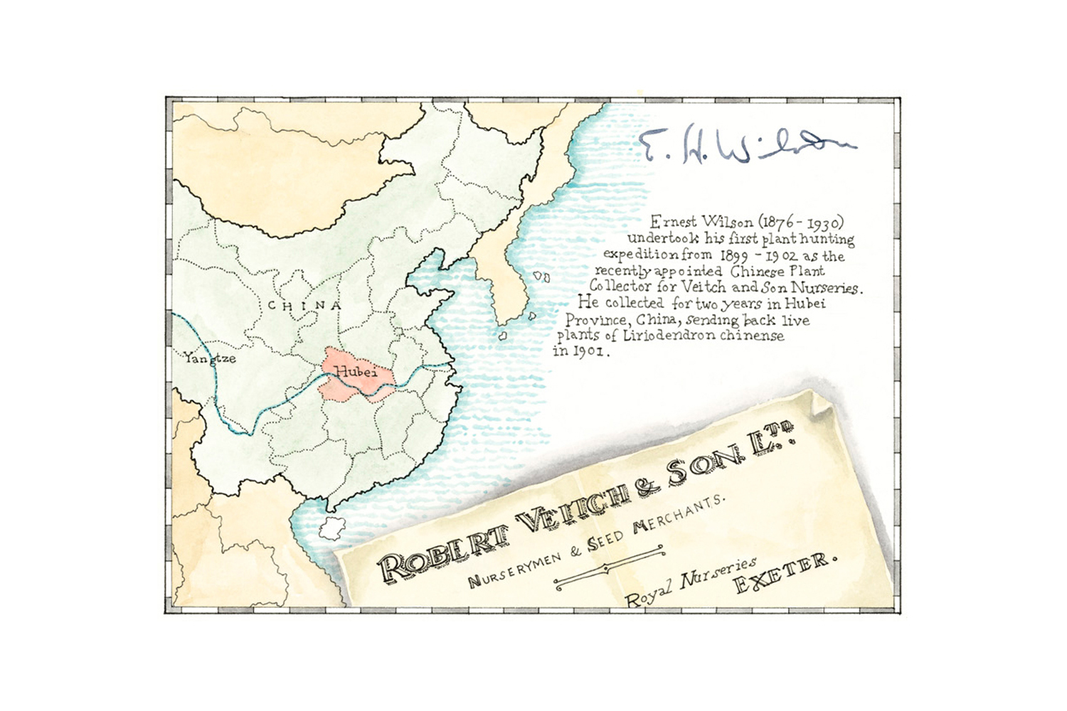 Borde Hill Plant Histories, 2012, pen & ink with watercolour,  map of E. H. Wilson’s plant hunting expedition to China in 1899 - 1902
