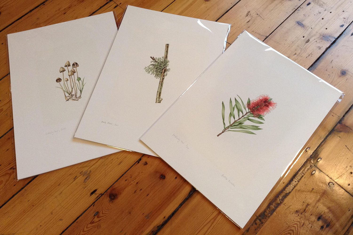  Limited edition fine art digital prints printed on Innova textured natural white paper (315gsm). &nbsp;Each print is signed, dated and numbered.  Prints are packaged in self-sealing, archival display bags with white backing card &nbsp;Print labels o