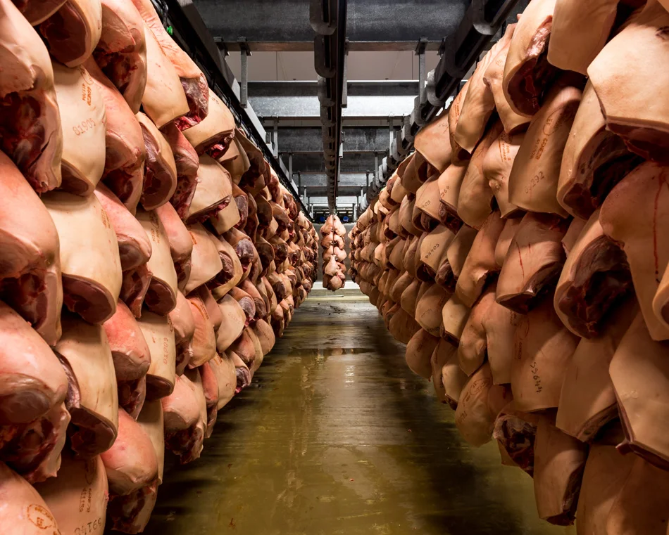 Danish Crown Slaughterhouse, Denmark