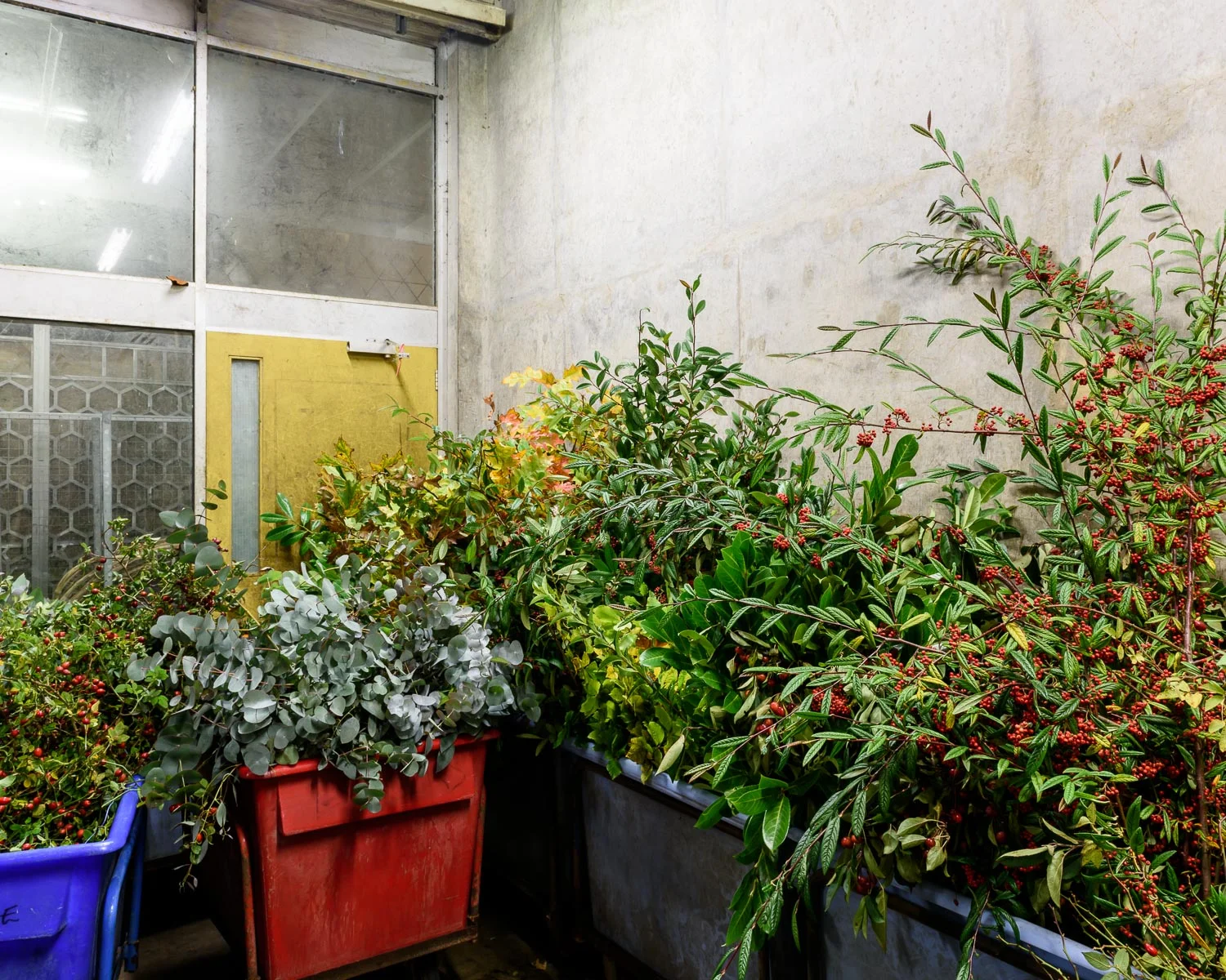 New Covent Garden Market, London