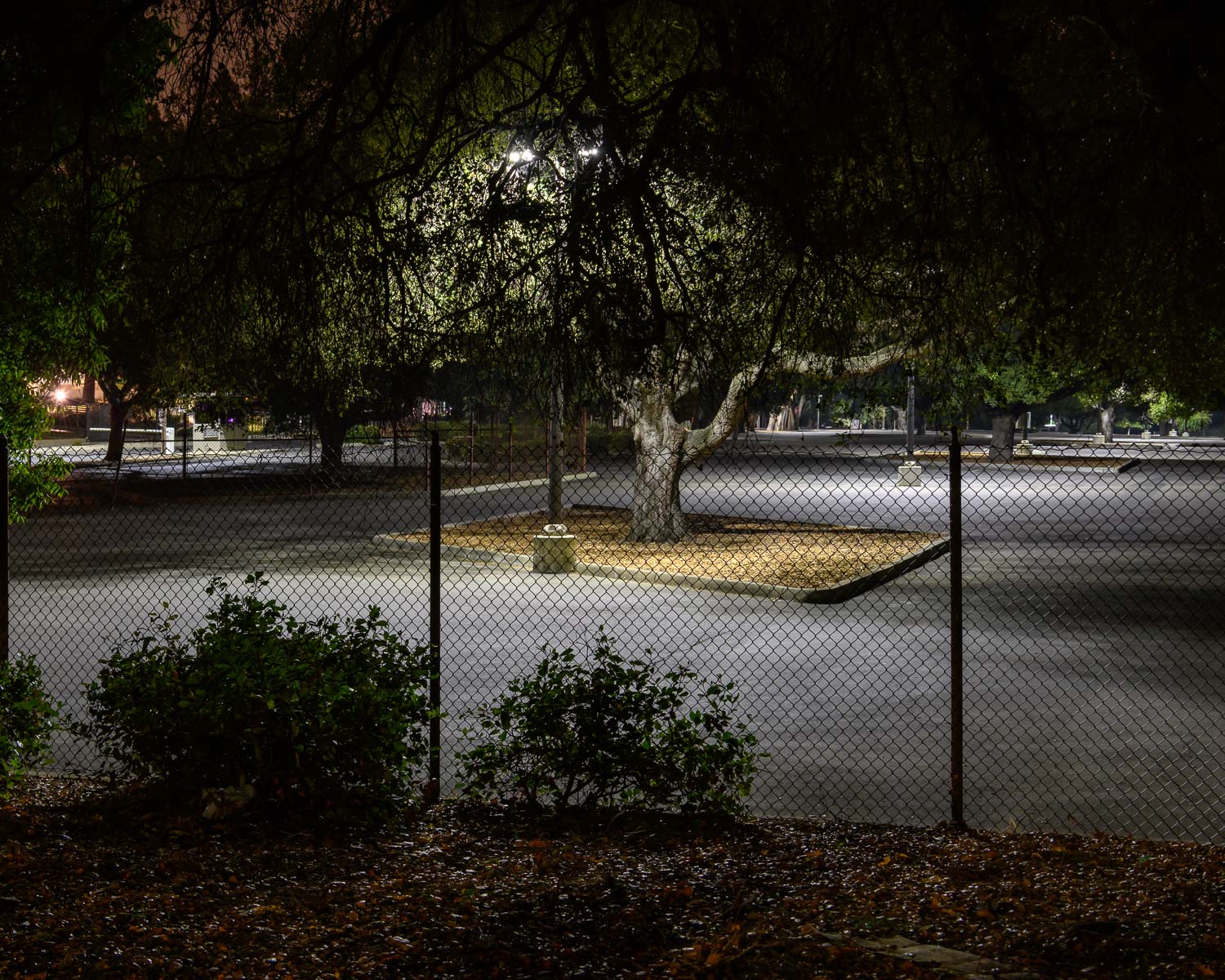  Staff car park at Hewlett Packard headquarters, Palo Alto 
