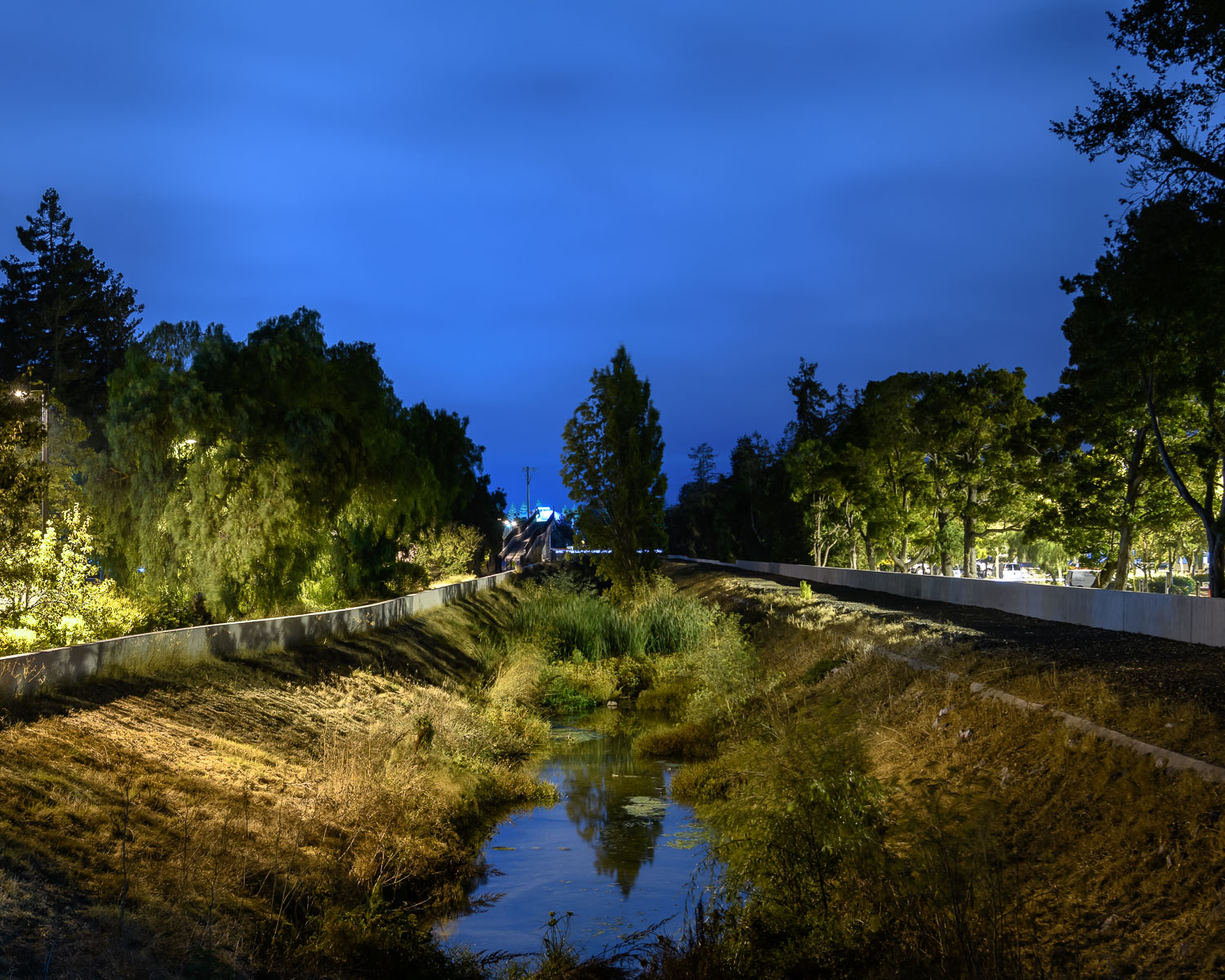  Mountain View Slough, next to the Googleplex 