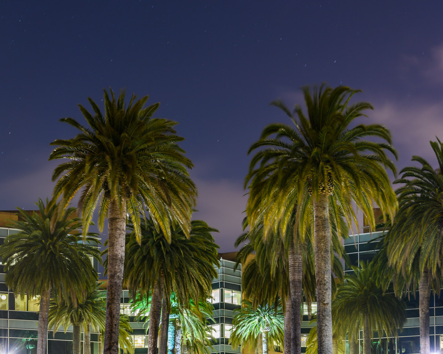  Google headquarters, Mountain View 