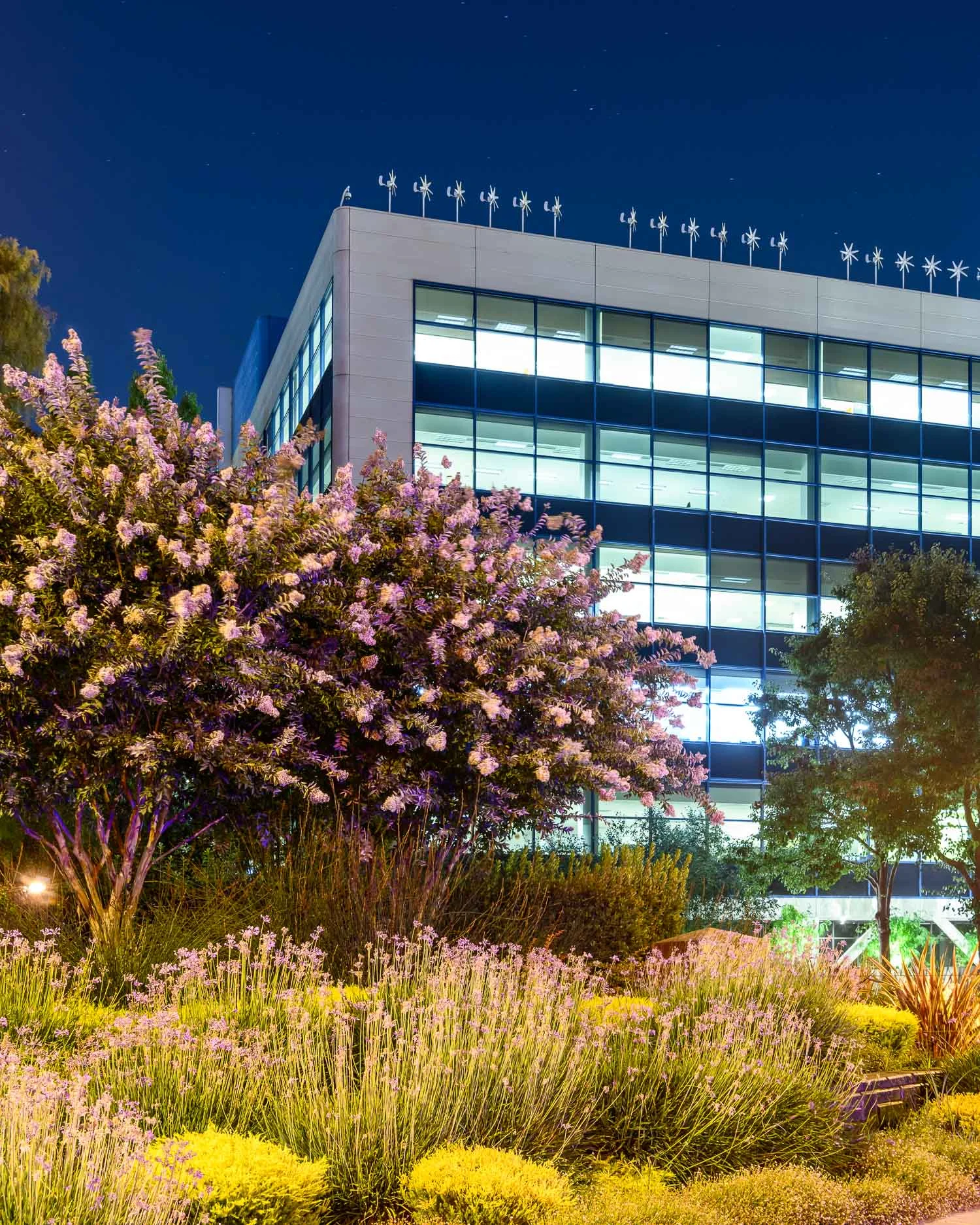 The Intel headquarters, Santa Clara