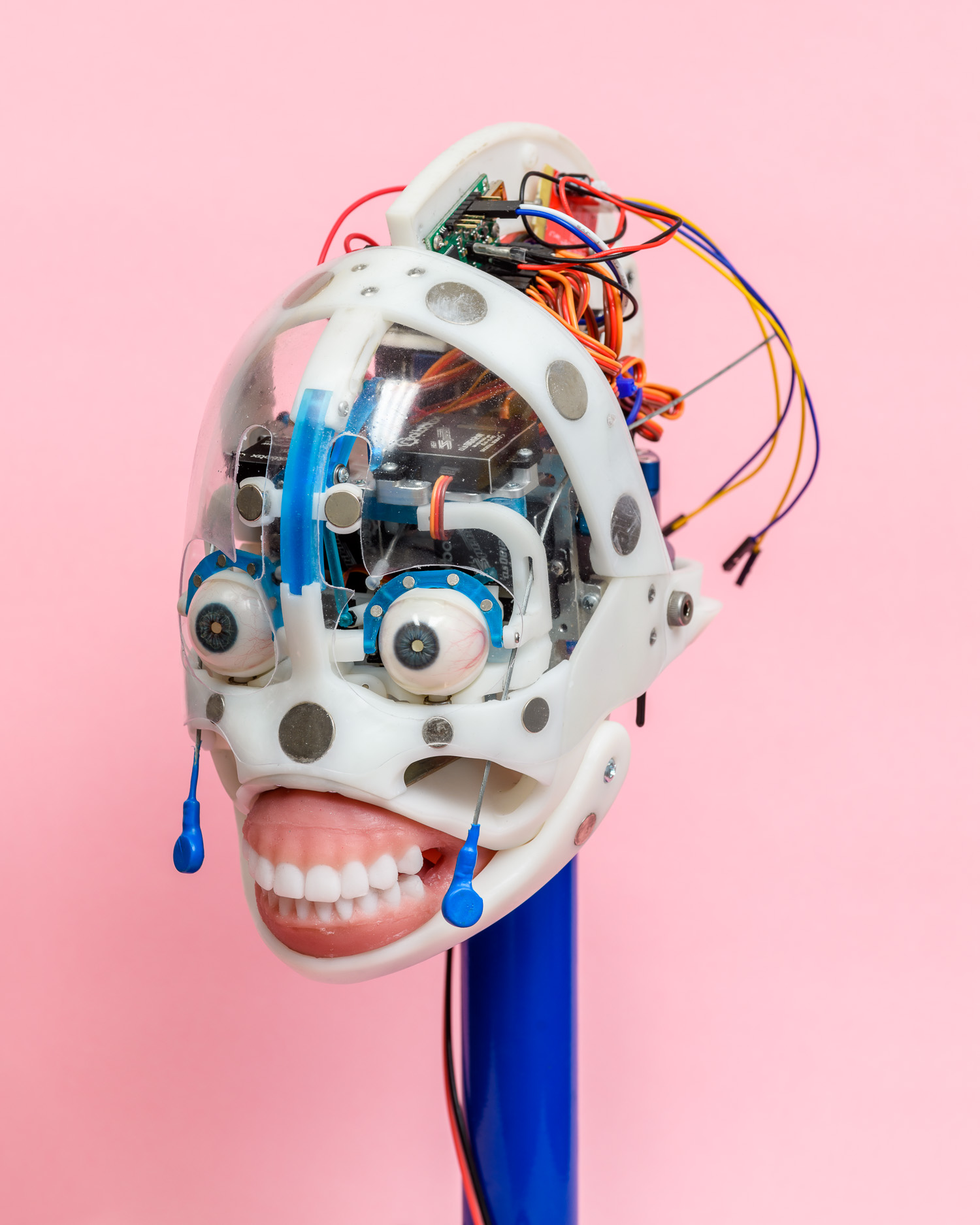A robotic head at the RealDoll sex doll factory in San Marcos, California