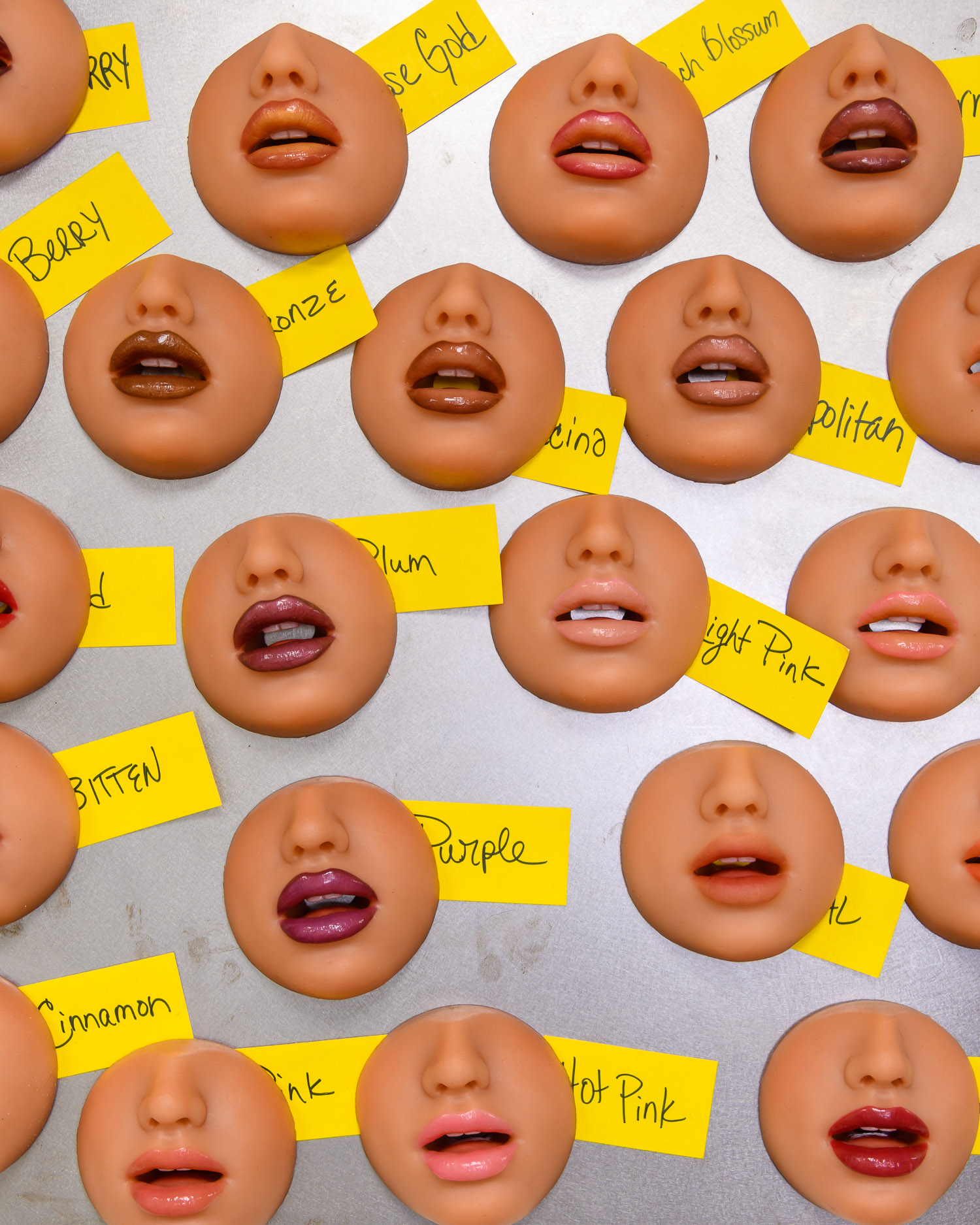 Lip options for the RealDoll dolls and robots