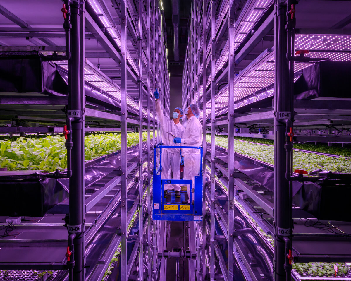  The grow hall at Nordic Harvest. 