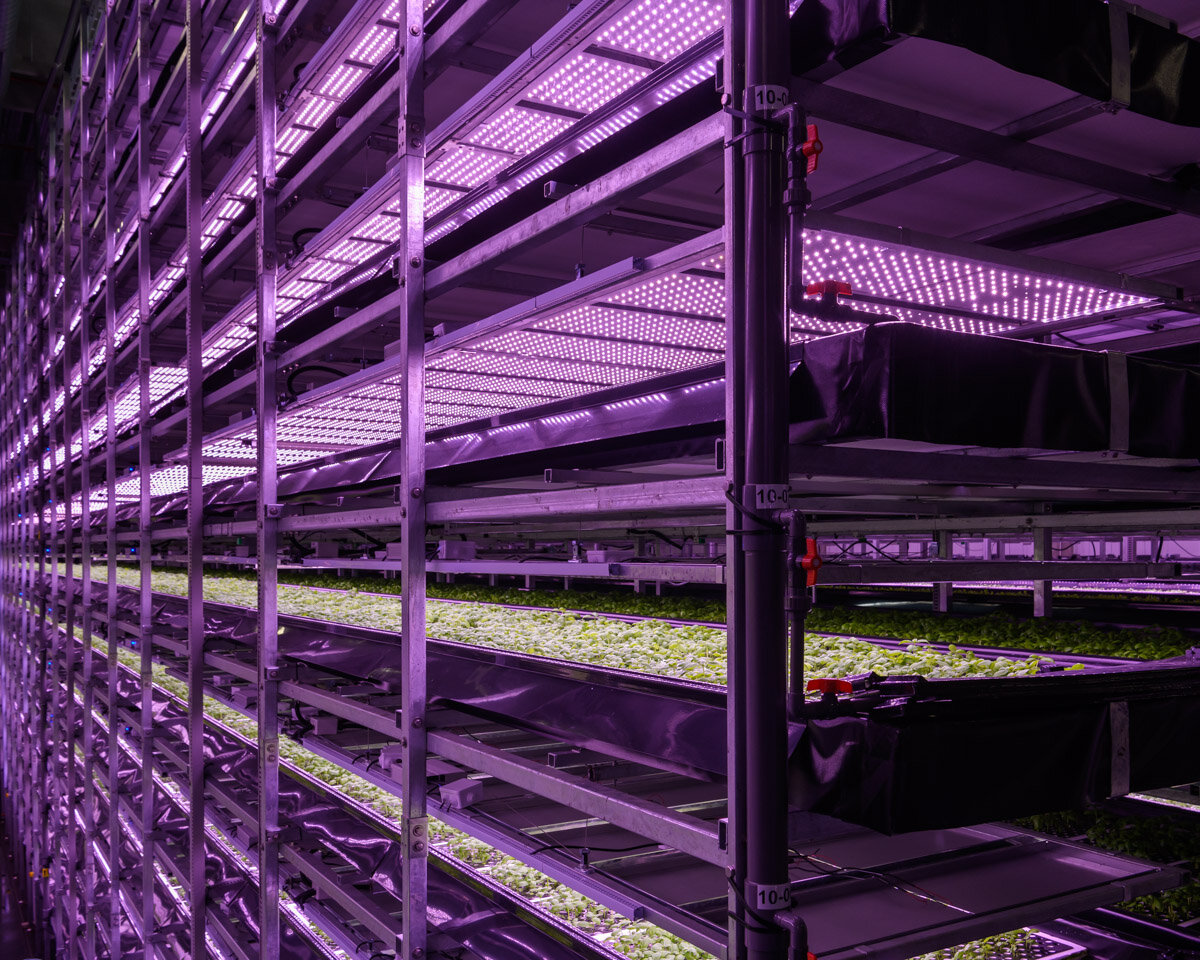 Nordic Harvest Vertical Farm, Denmark — Alastair Philip Wiper