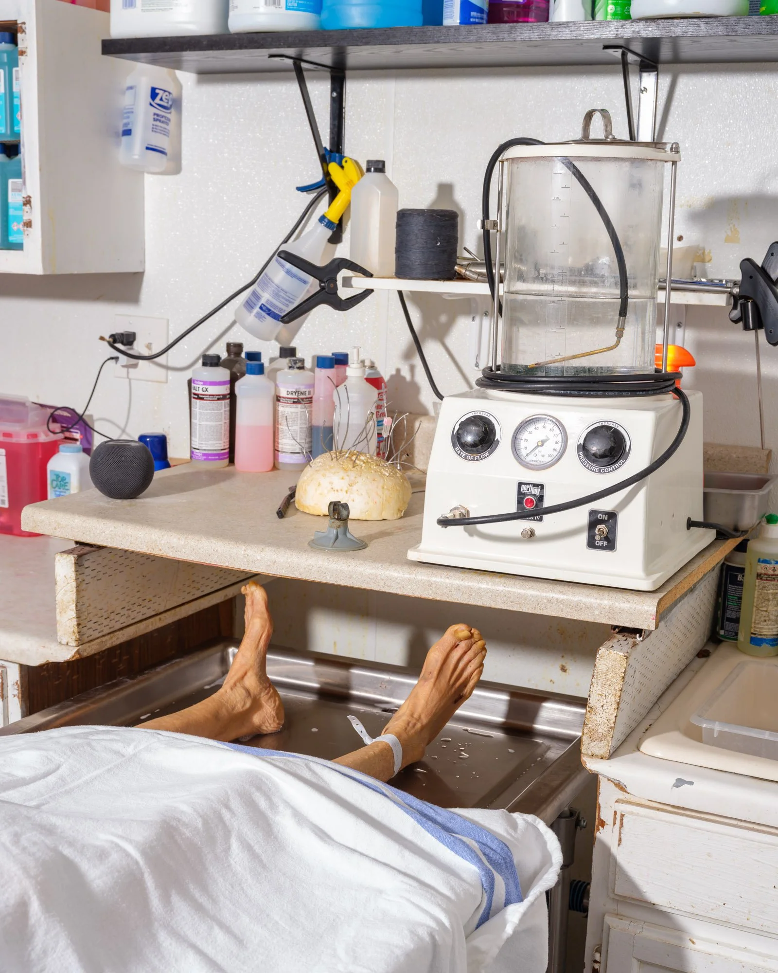 They're Dying to Get in Here