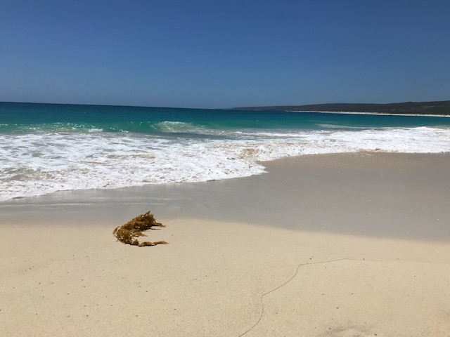 Hamelin Bay