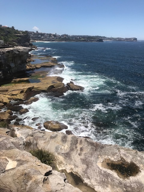 Congee to Bondi Walk