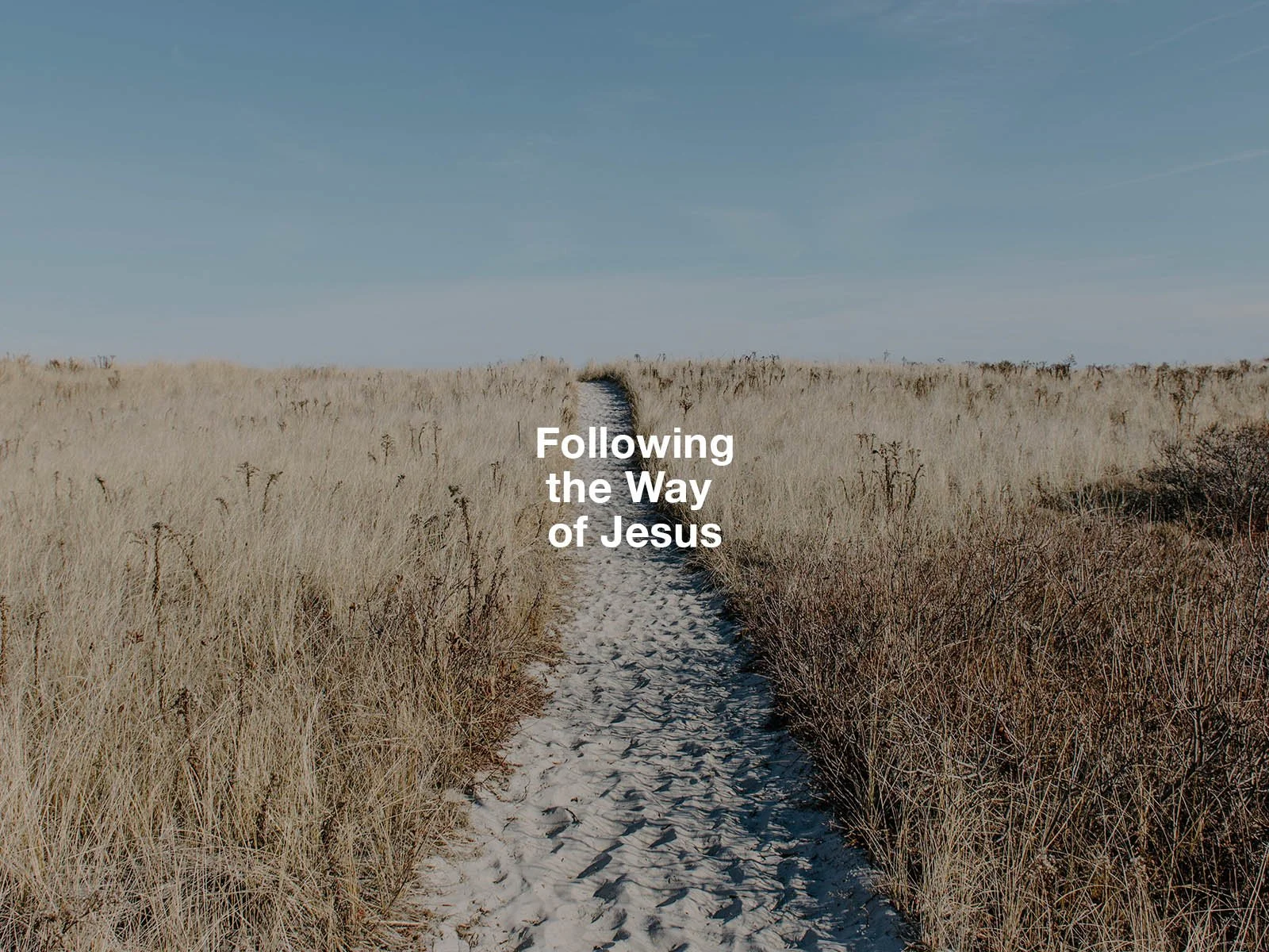 Following the Way of Jesus 2023 copy.jpg