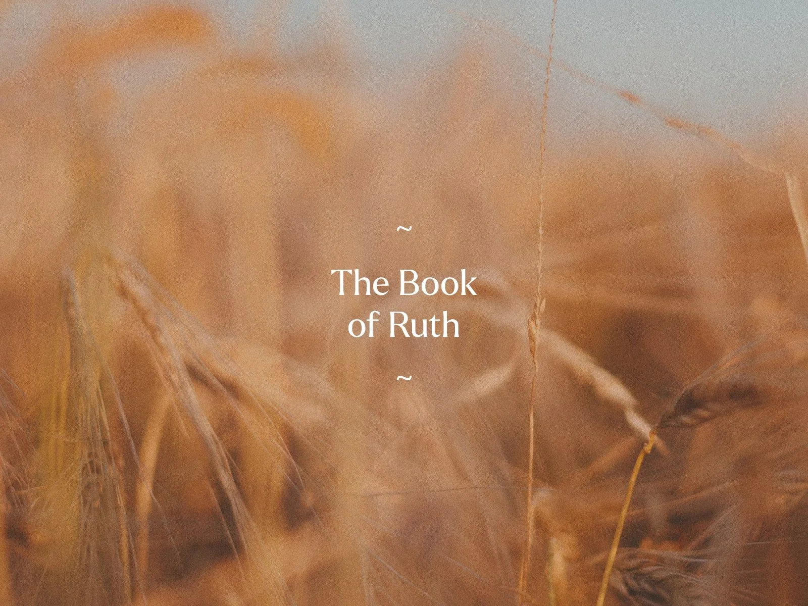 The Book of Ruth 2023.jpg