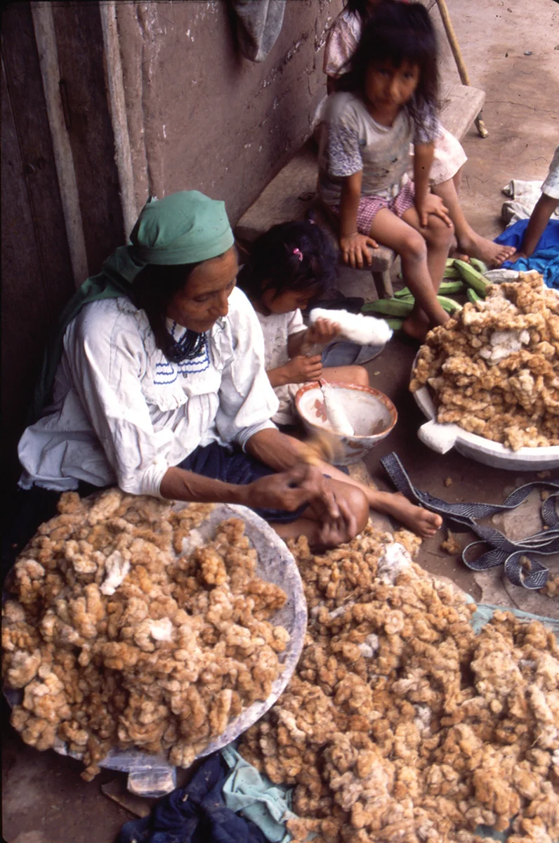 Brown Jungle cotton