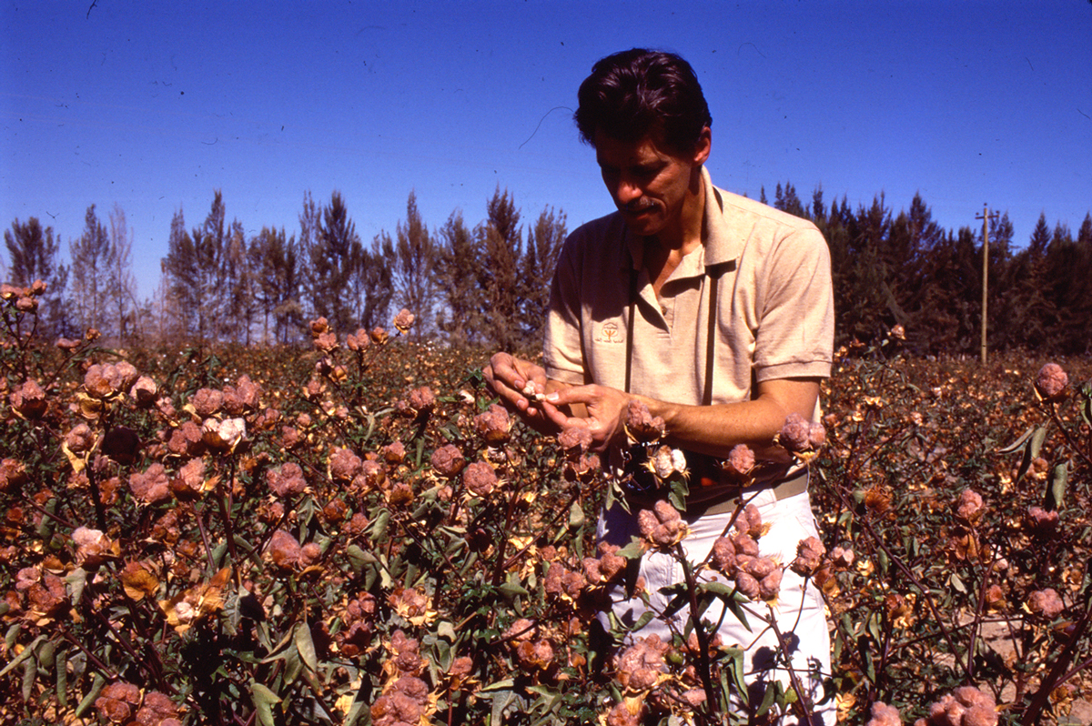 Dr. James M. Vreeland with Mauve cotton