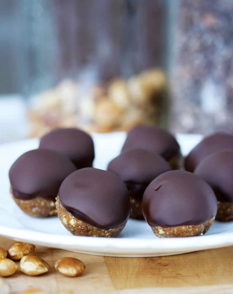 Sacha Inchi Buckeyes