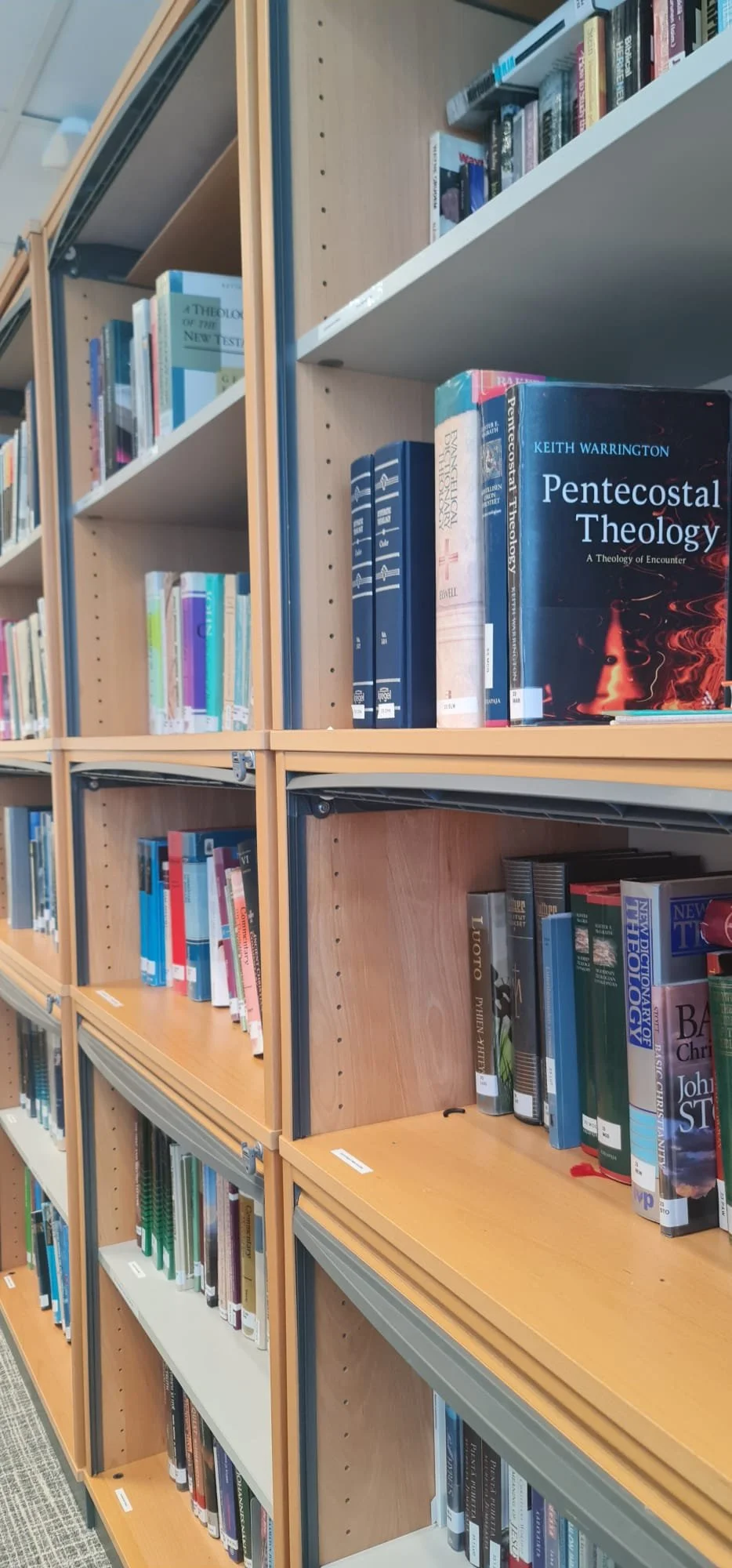 WhatsApp Image 2026-02-20 at 16.53.44.jpeg