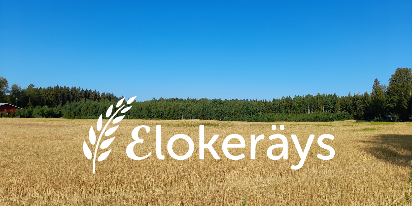 Banneri Elokeräys viljapelto.png