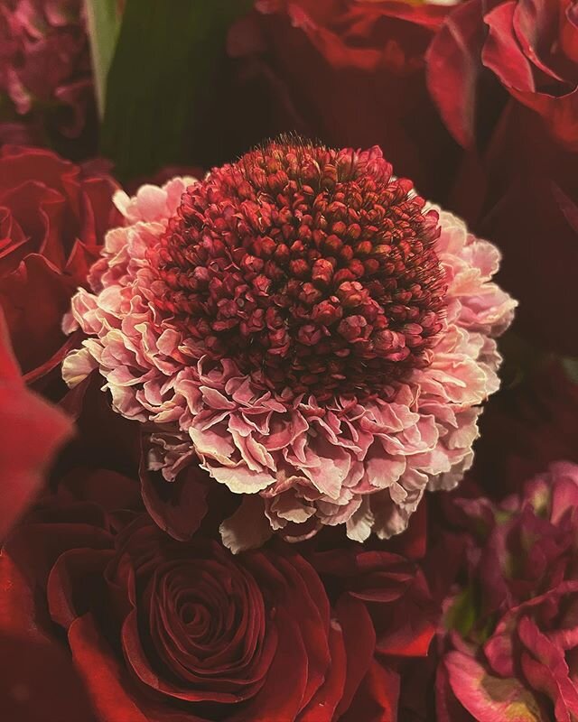 #rouge