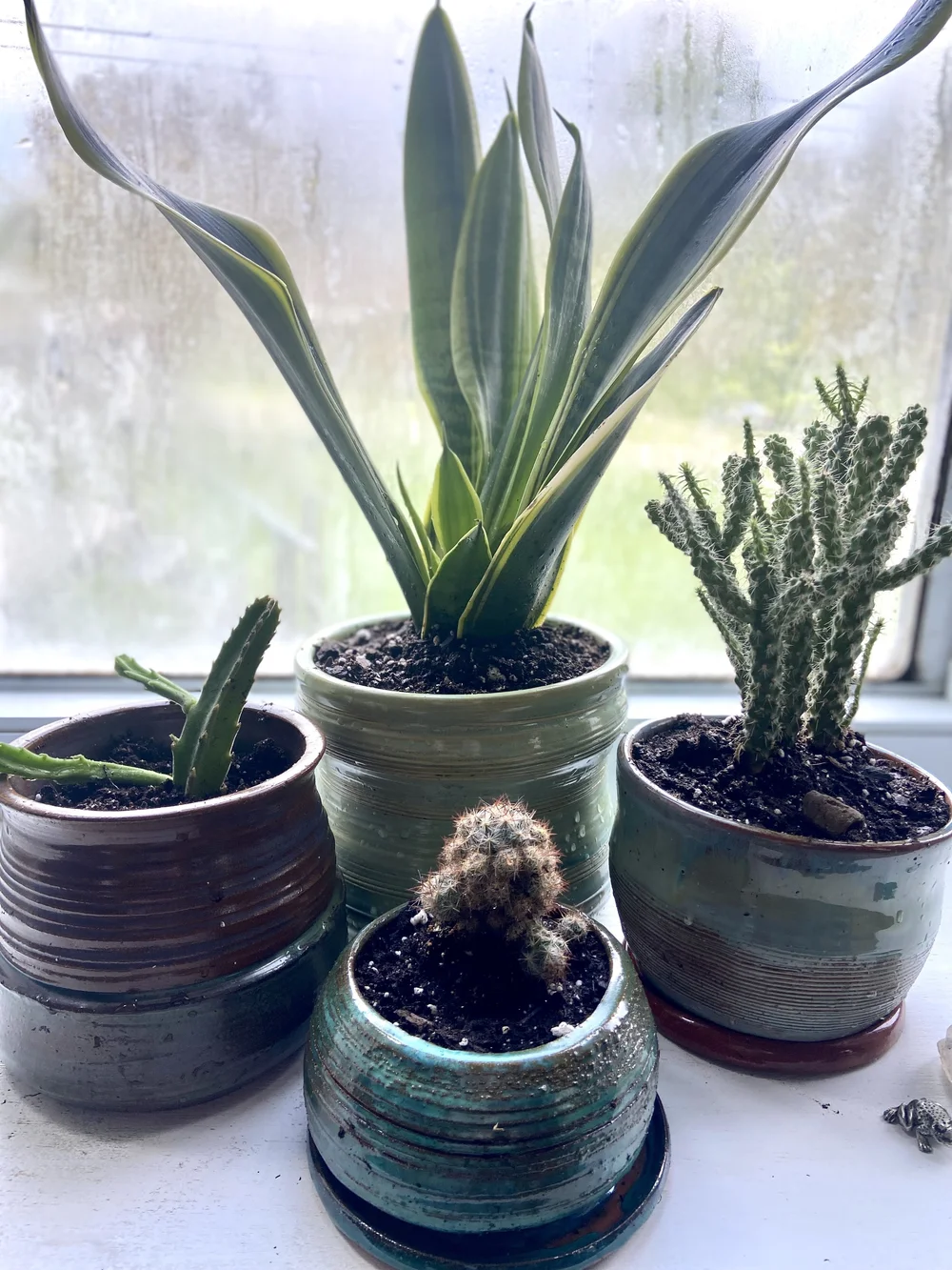 Adult Classes — The Pottery House StudioPottery House Studio