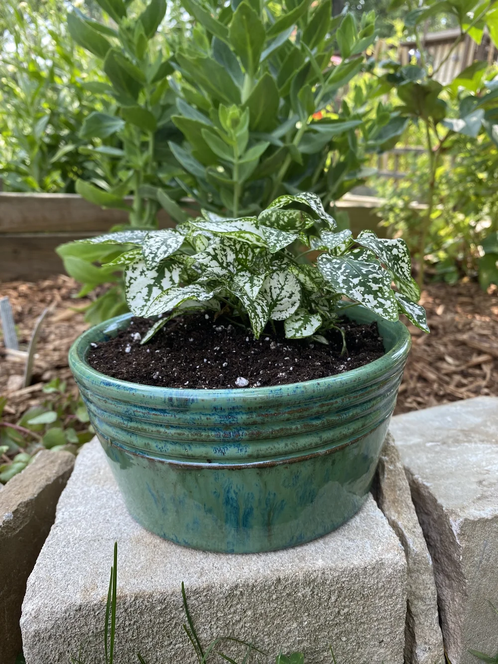 Adult Classes — The Pottery House StudioPottery House Studio