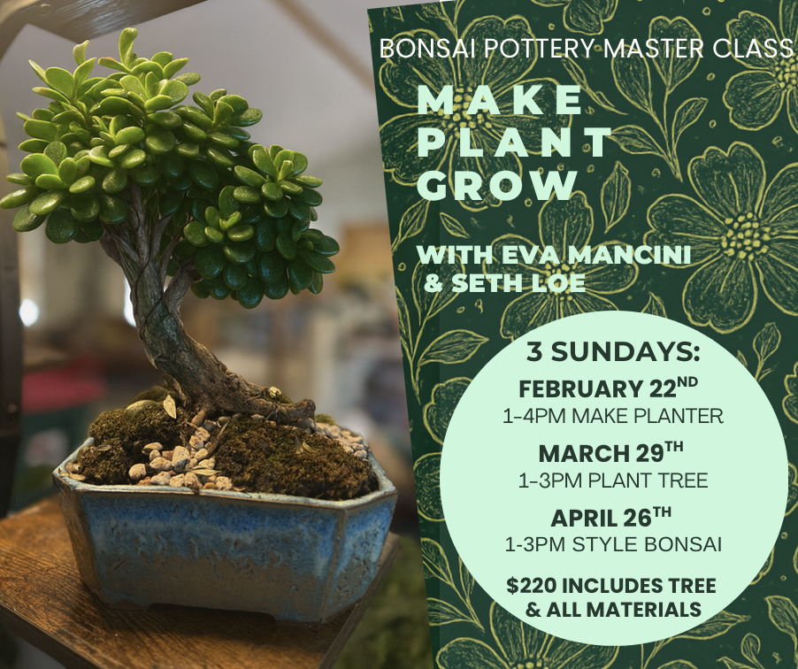 Bonsai Pottery Master Class