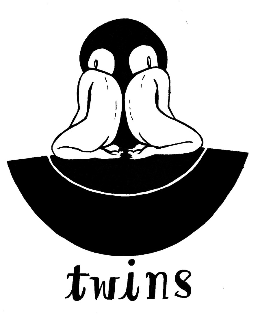 twins.jpeg