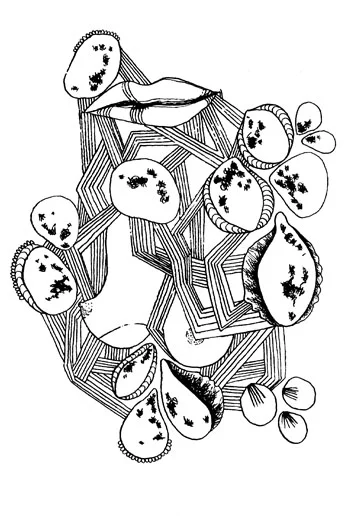 pp_mrivy003.jpg