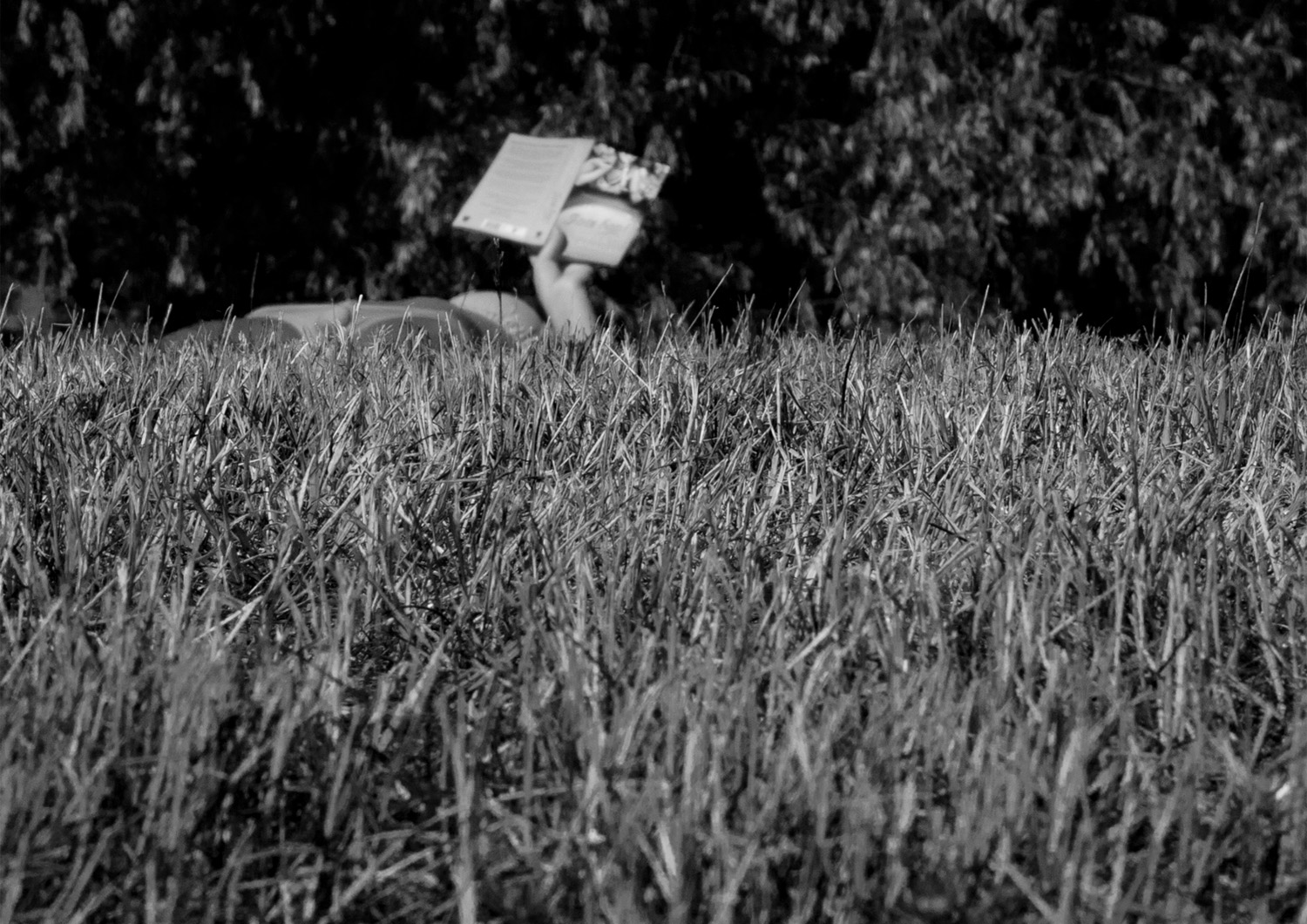 miguel.herranz.books_029.jpg