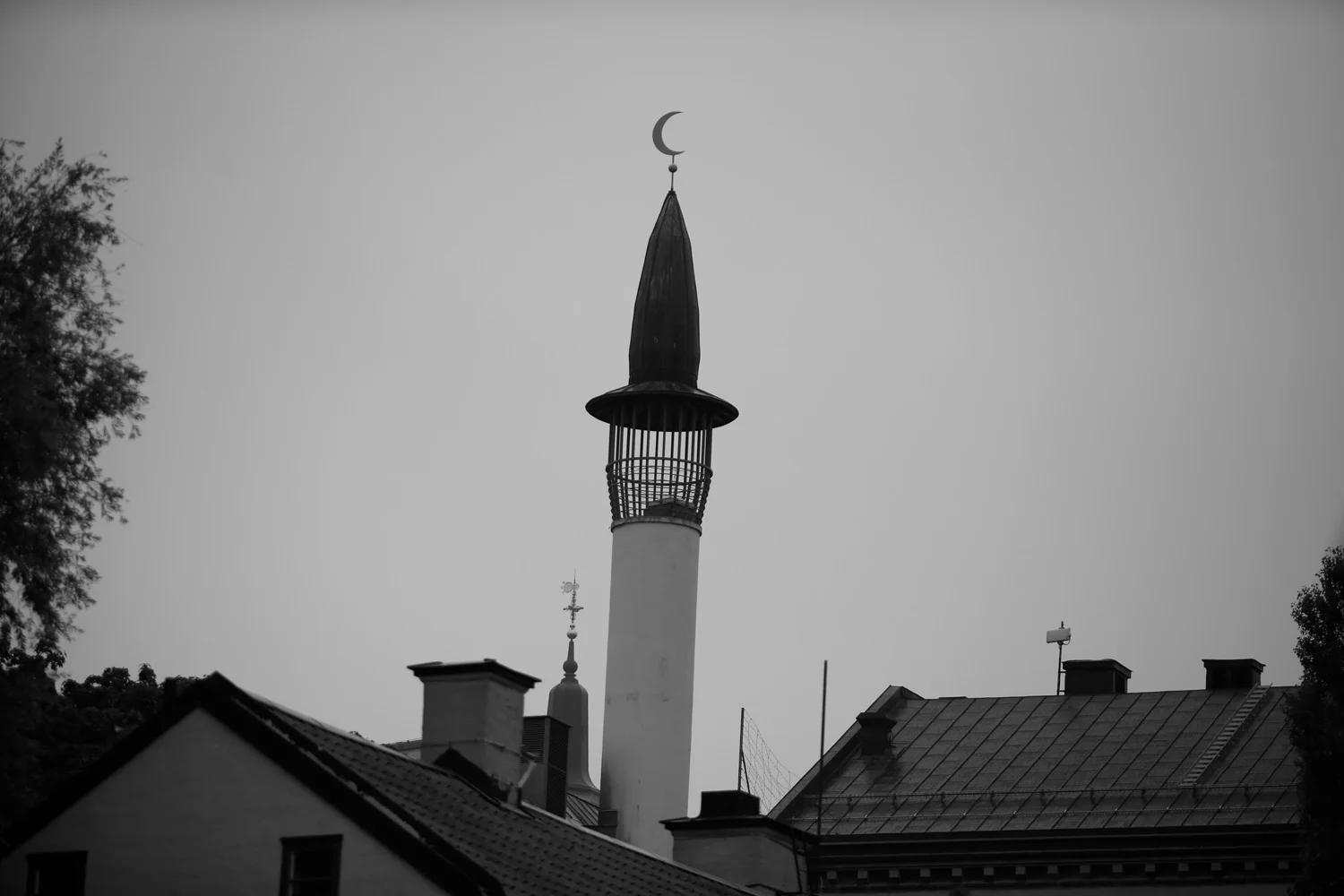 22. Kontraster | Contrasts | Contrastes