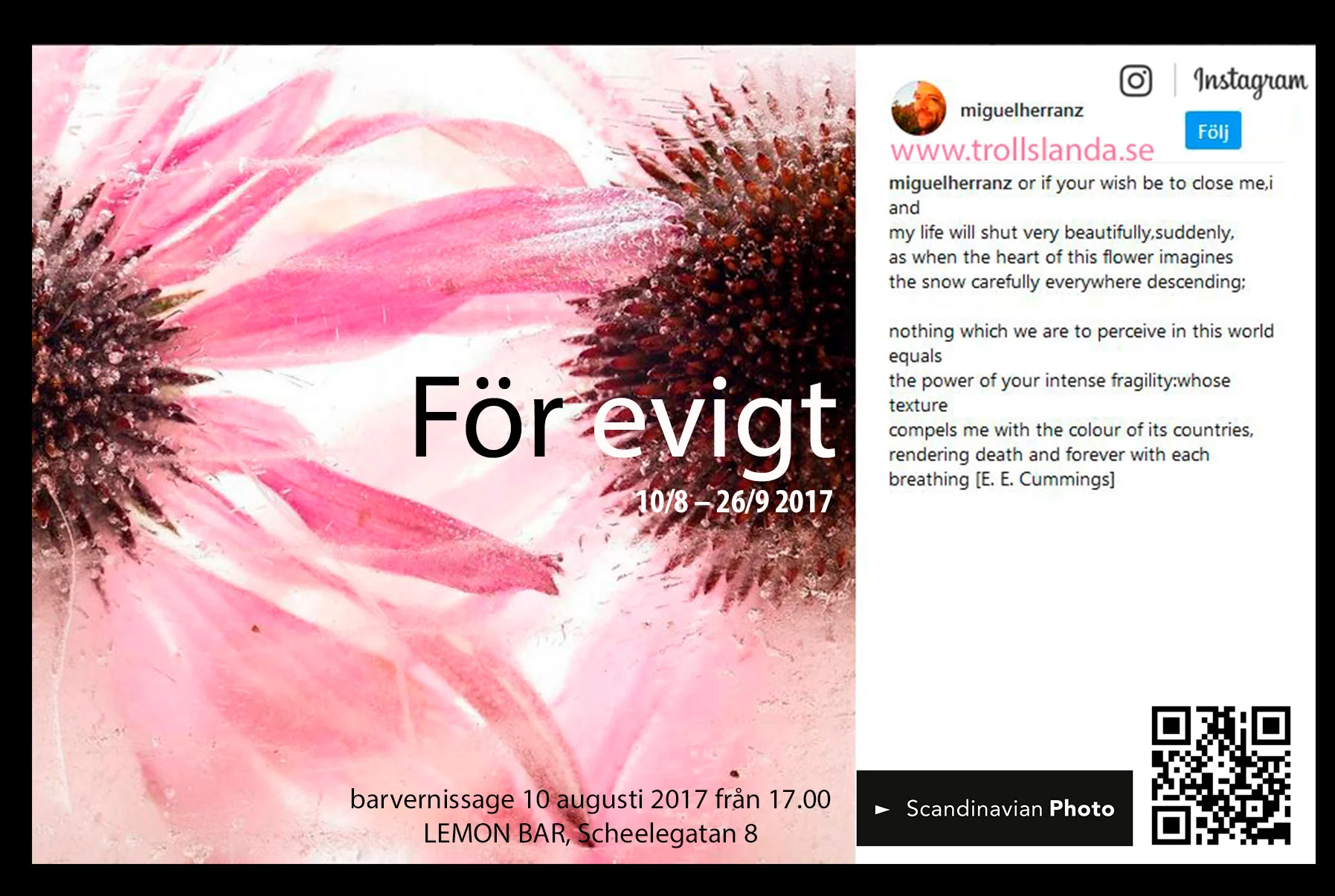 isen kan sägas symbolisera en hel årstid, men den kyler ner vår dricka och håller våra varor fräscha