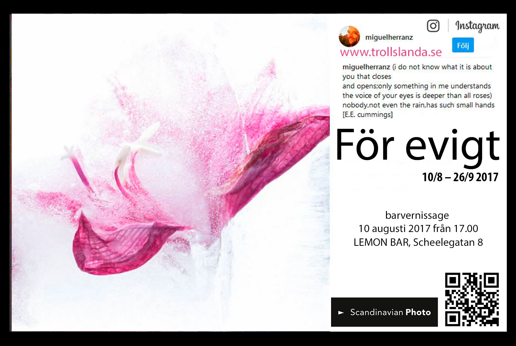 slumpen styr, jag vet inte hur isen kommer att frysa, var luftbubblorna kommer att bildas eller hur den sen kommer att smälta under fotograferingen