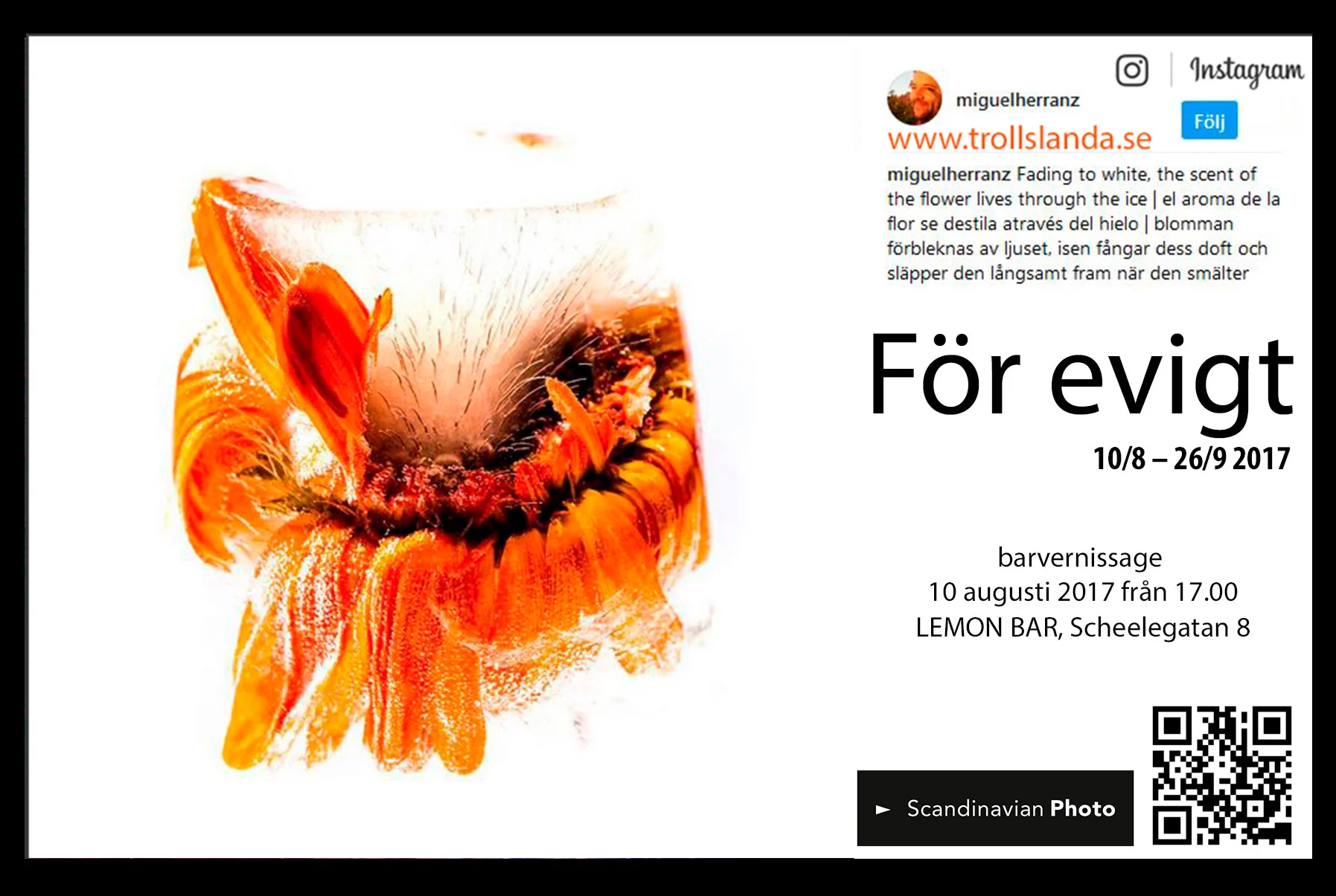 man pratar om blommor och bin, det finns något sensuellt i blommans form. Vad ser du?